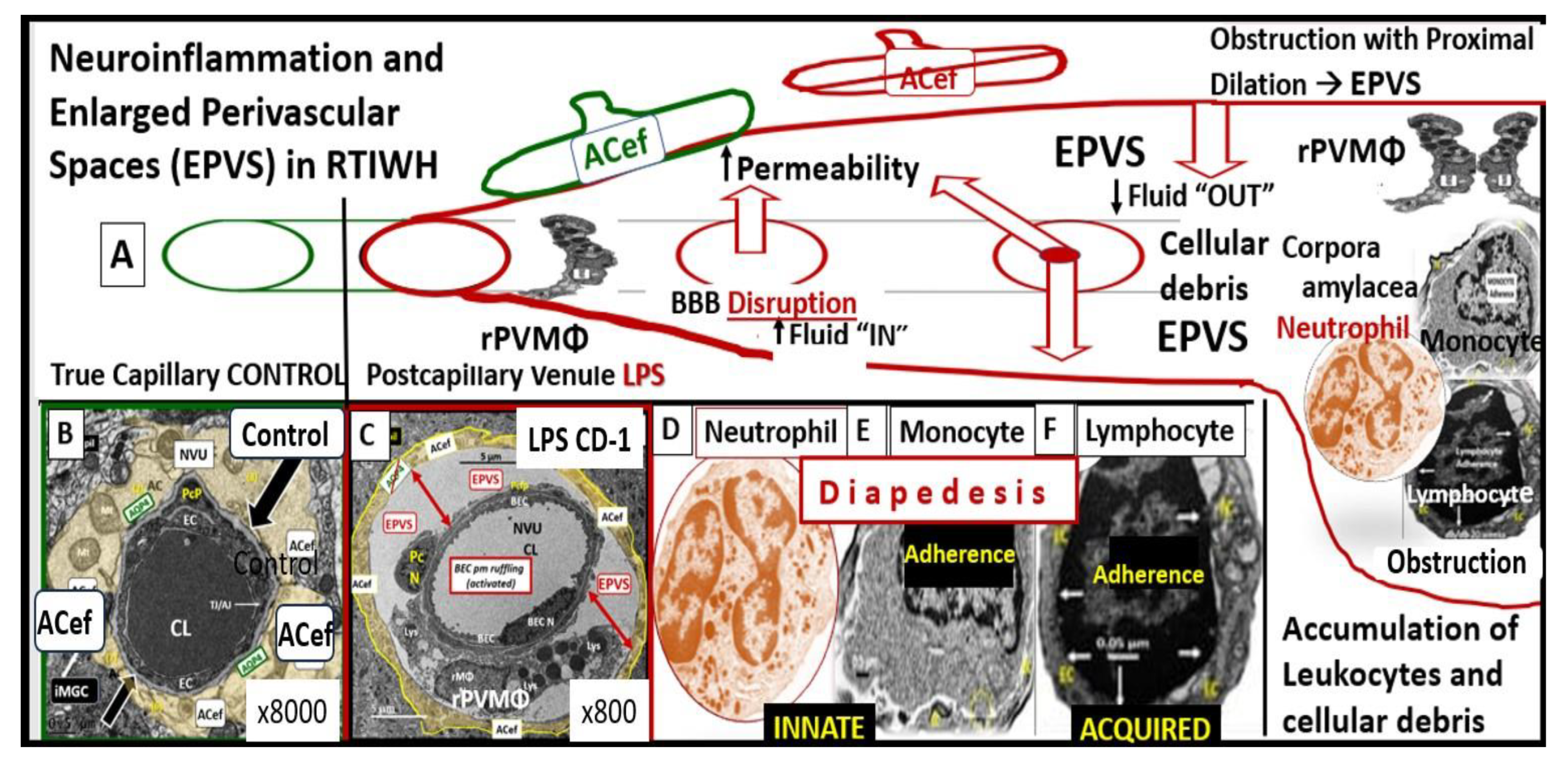 Medicina 59 01337 g010 Medicina 59 01337 g010