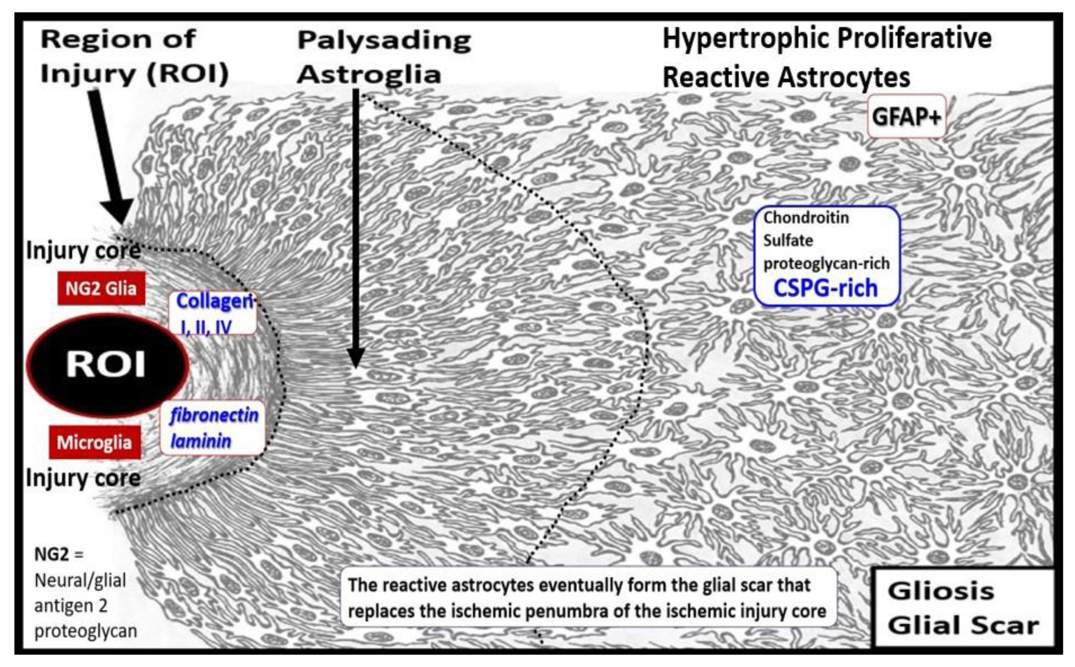 Medicina 59 01337 g012 Medicina 59 01337 g012