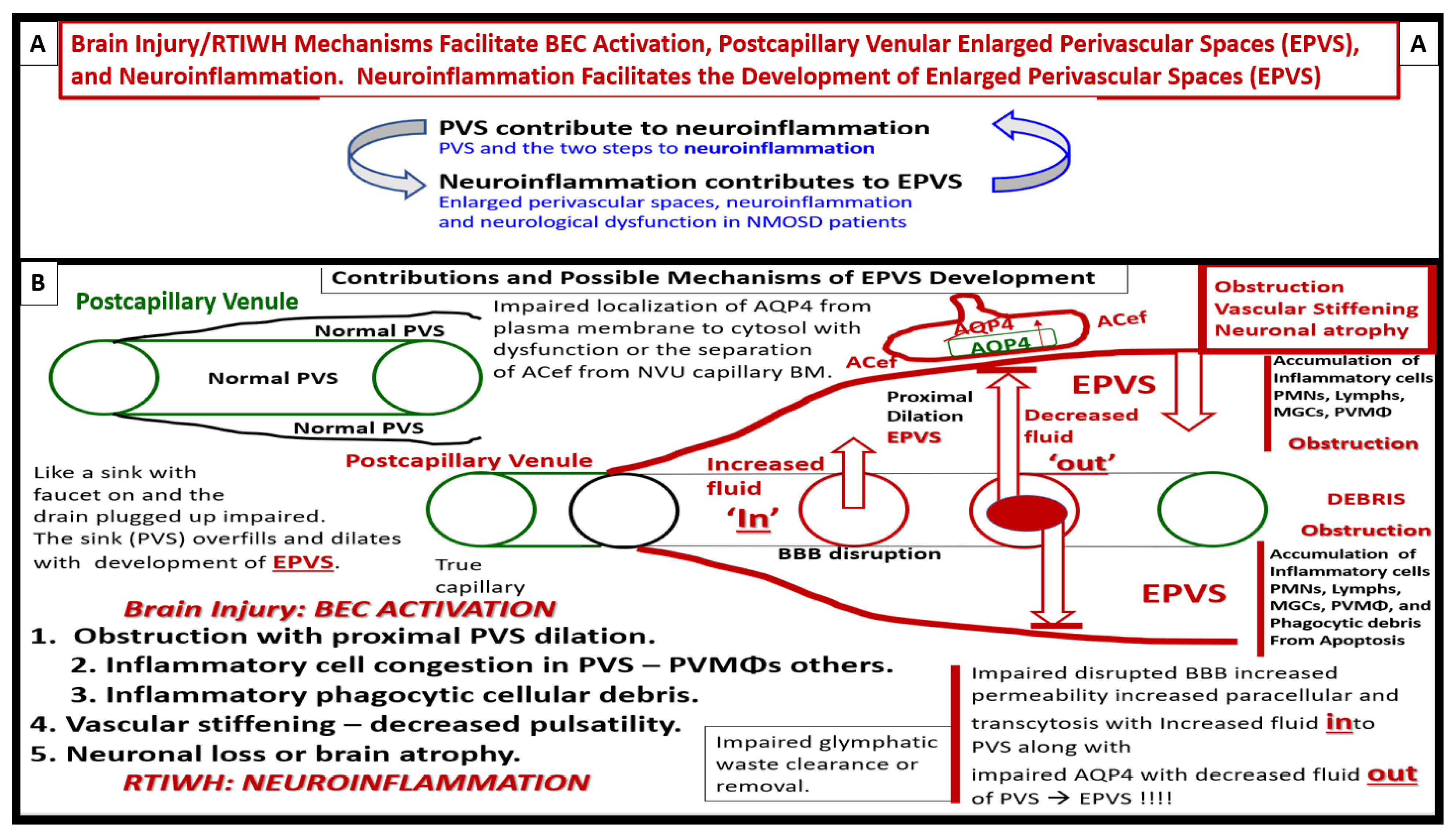 Medicina 59 01337 g015 Medicina 59 01337 g015