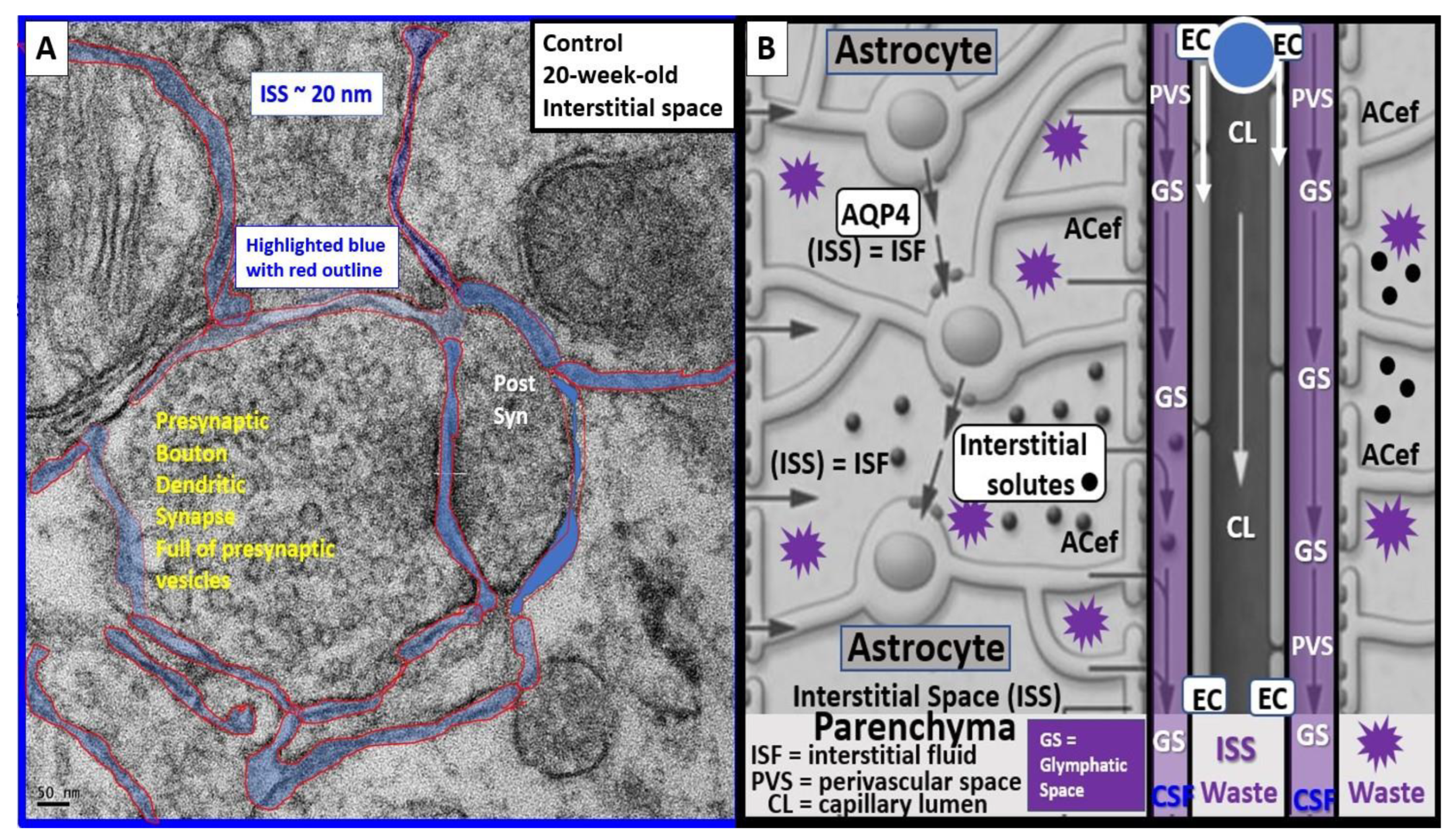 Medicina 59 01337 g016 Medicina 59 01337 g016