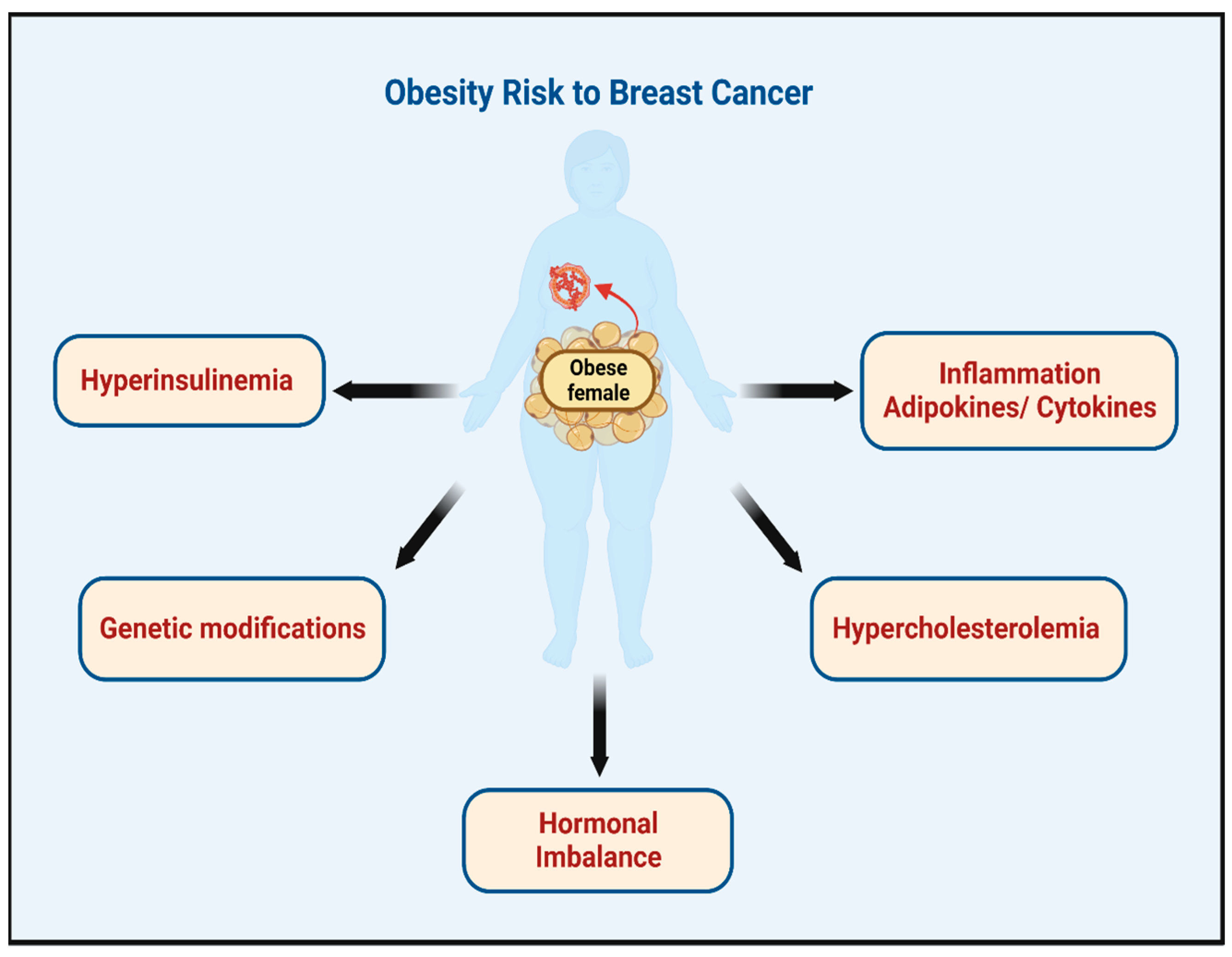 Medicina 59 01338 g001 Medicina 59 01338 g001