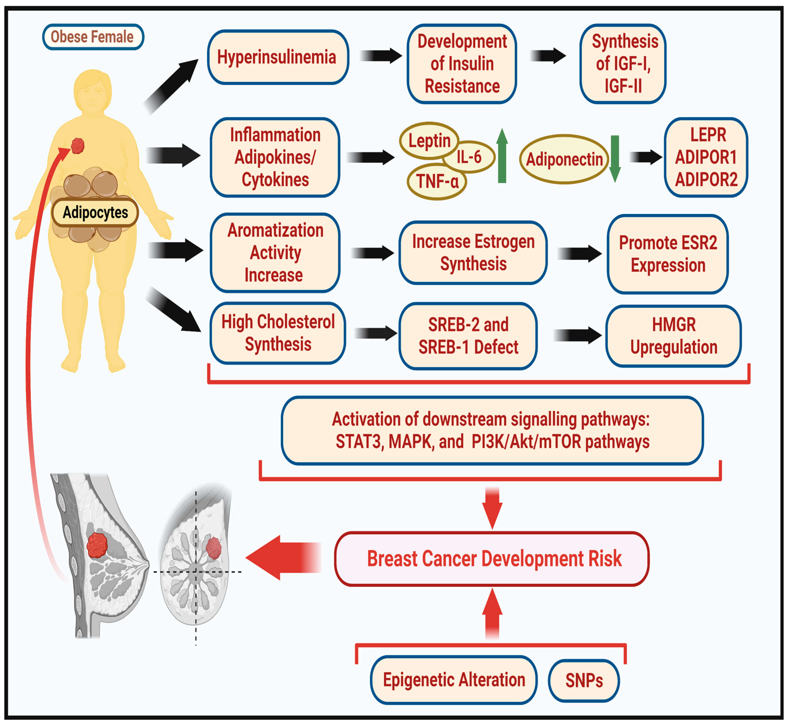 Medicina 59 01338 g002 Medicina 59 01338 g002