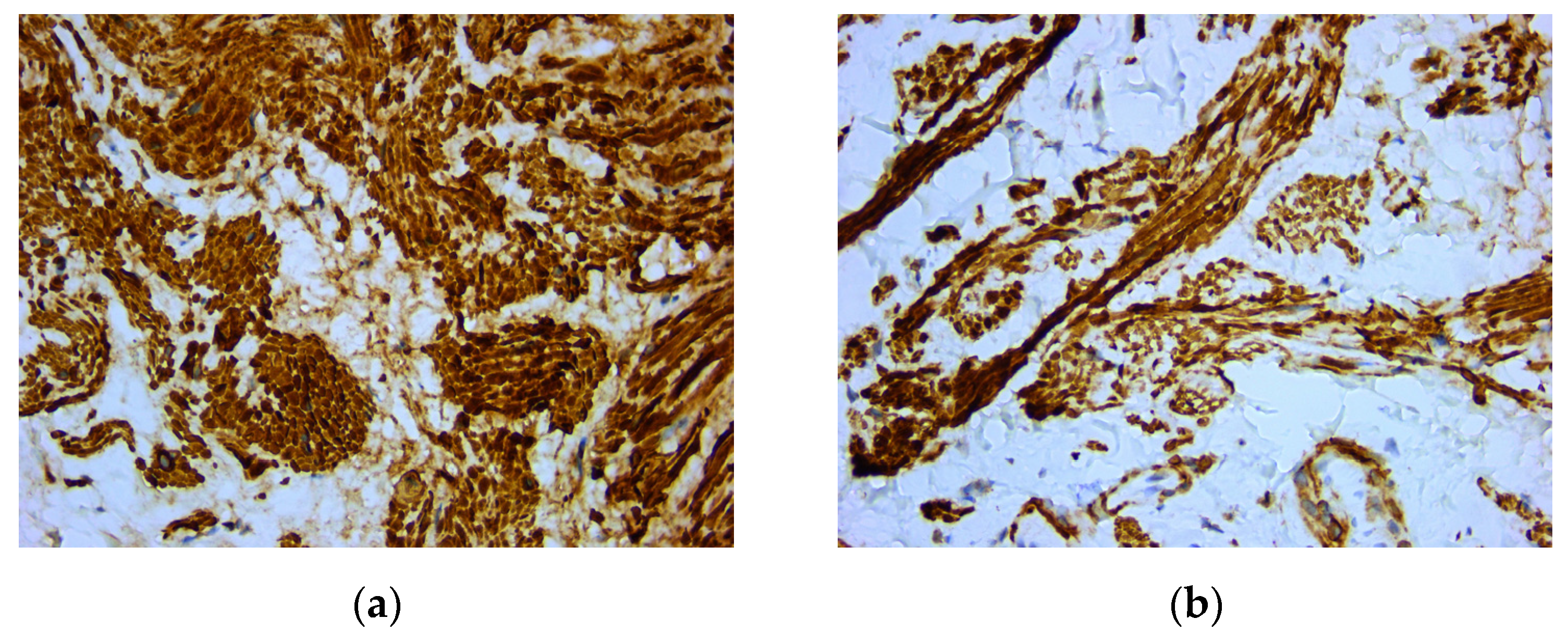 Medicina 59 01346 g004