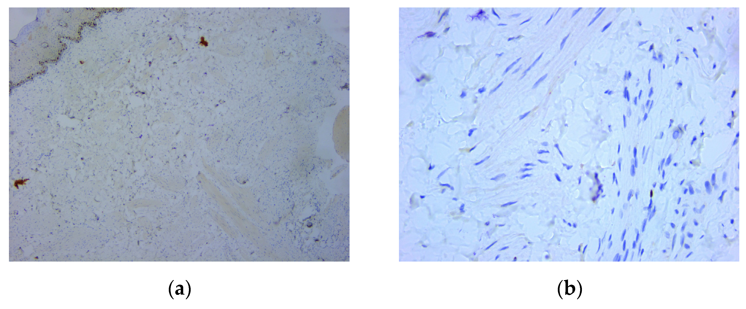 Medicina 59 01346 g007