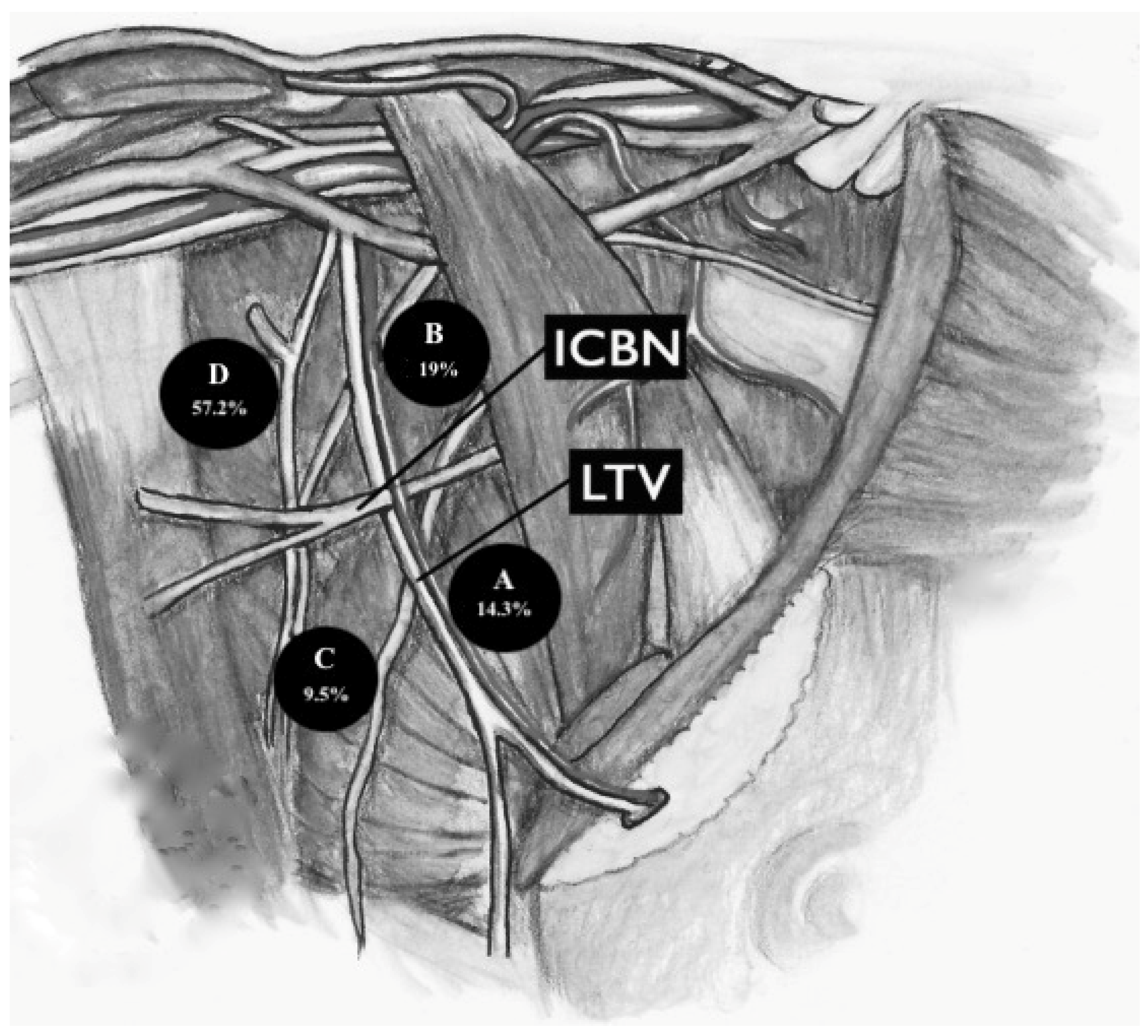 Medicina 59 01357 g004