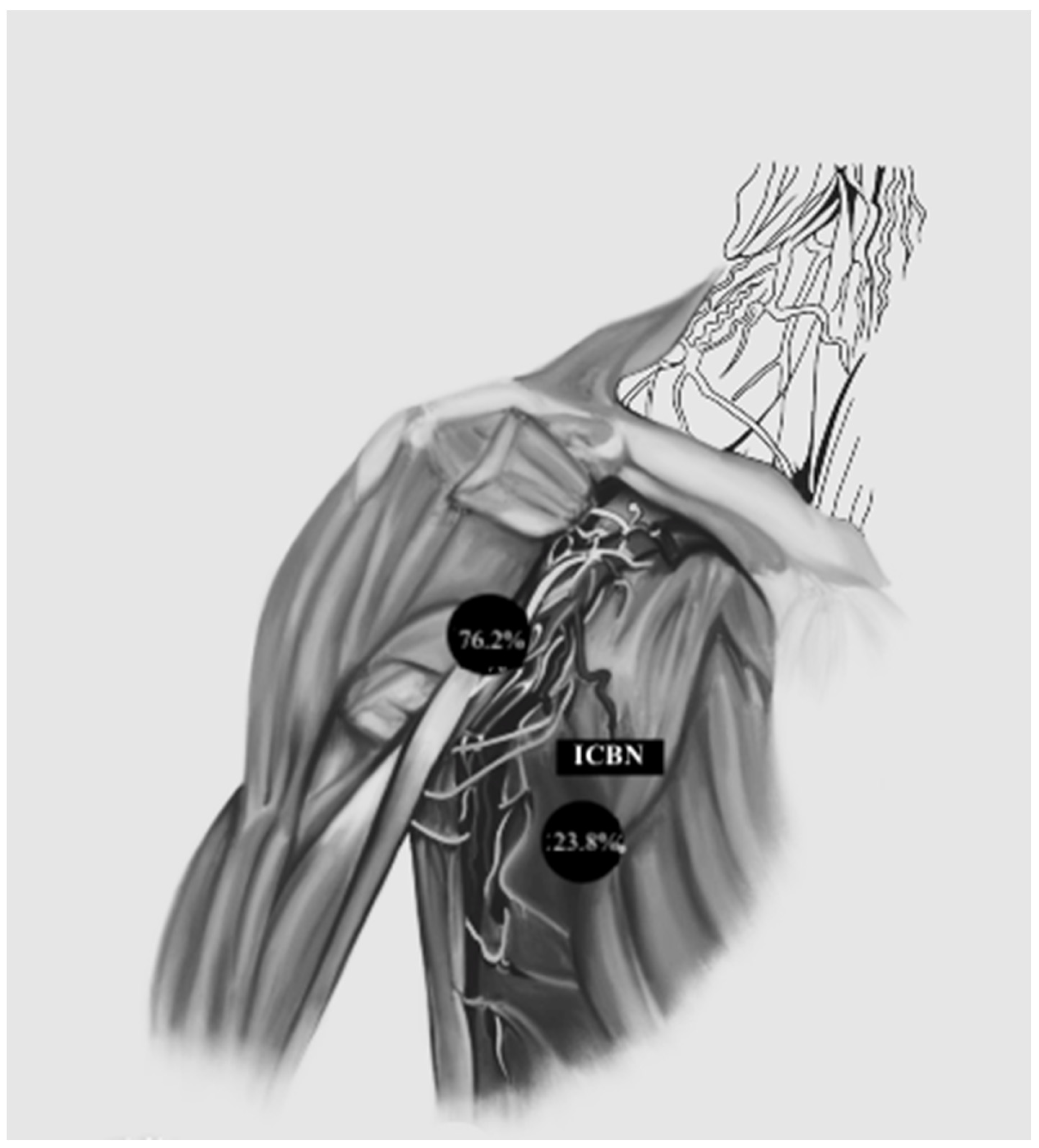 Medicina 59 01357 g006