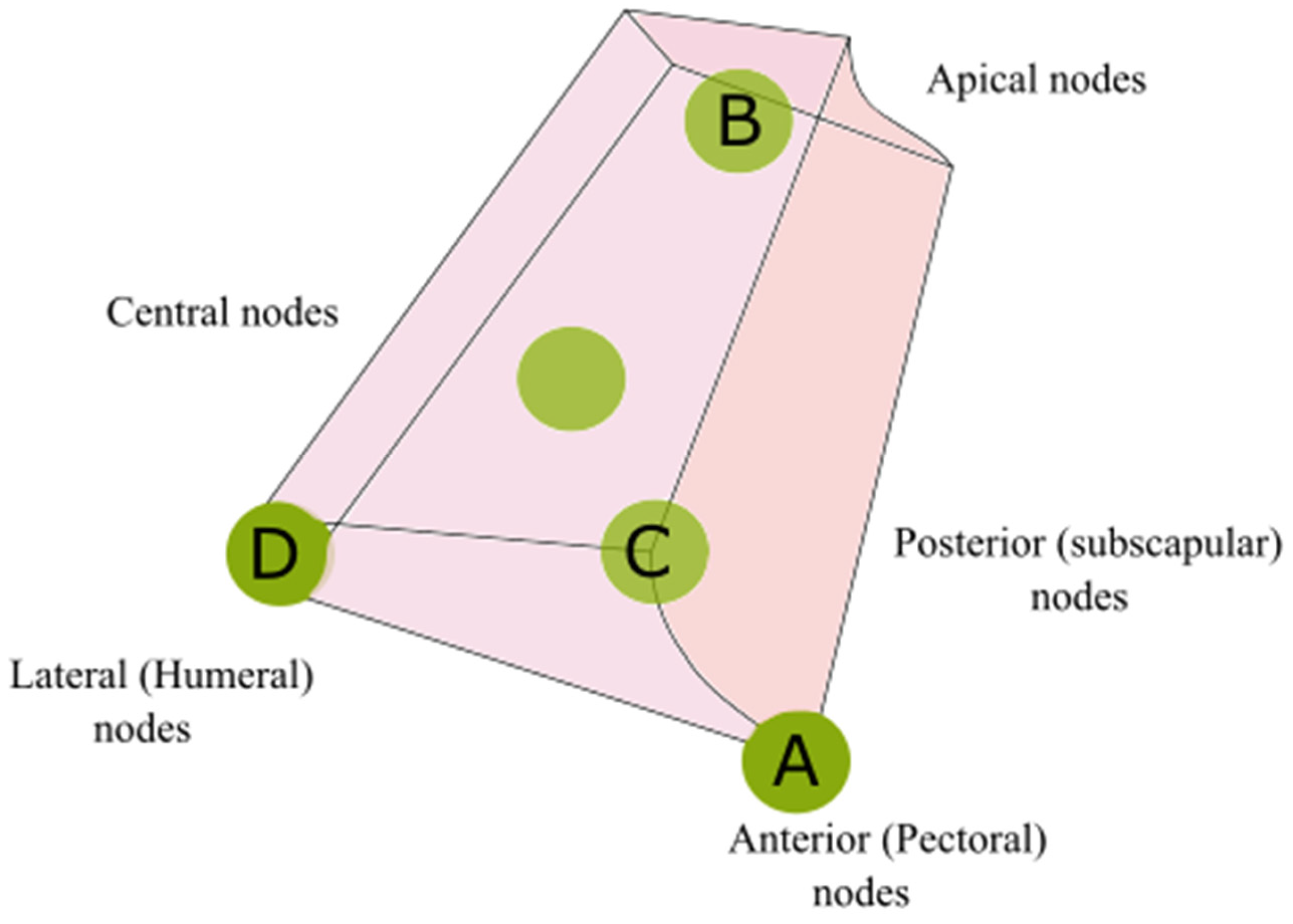 Medicina 59 01357 g008