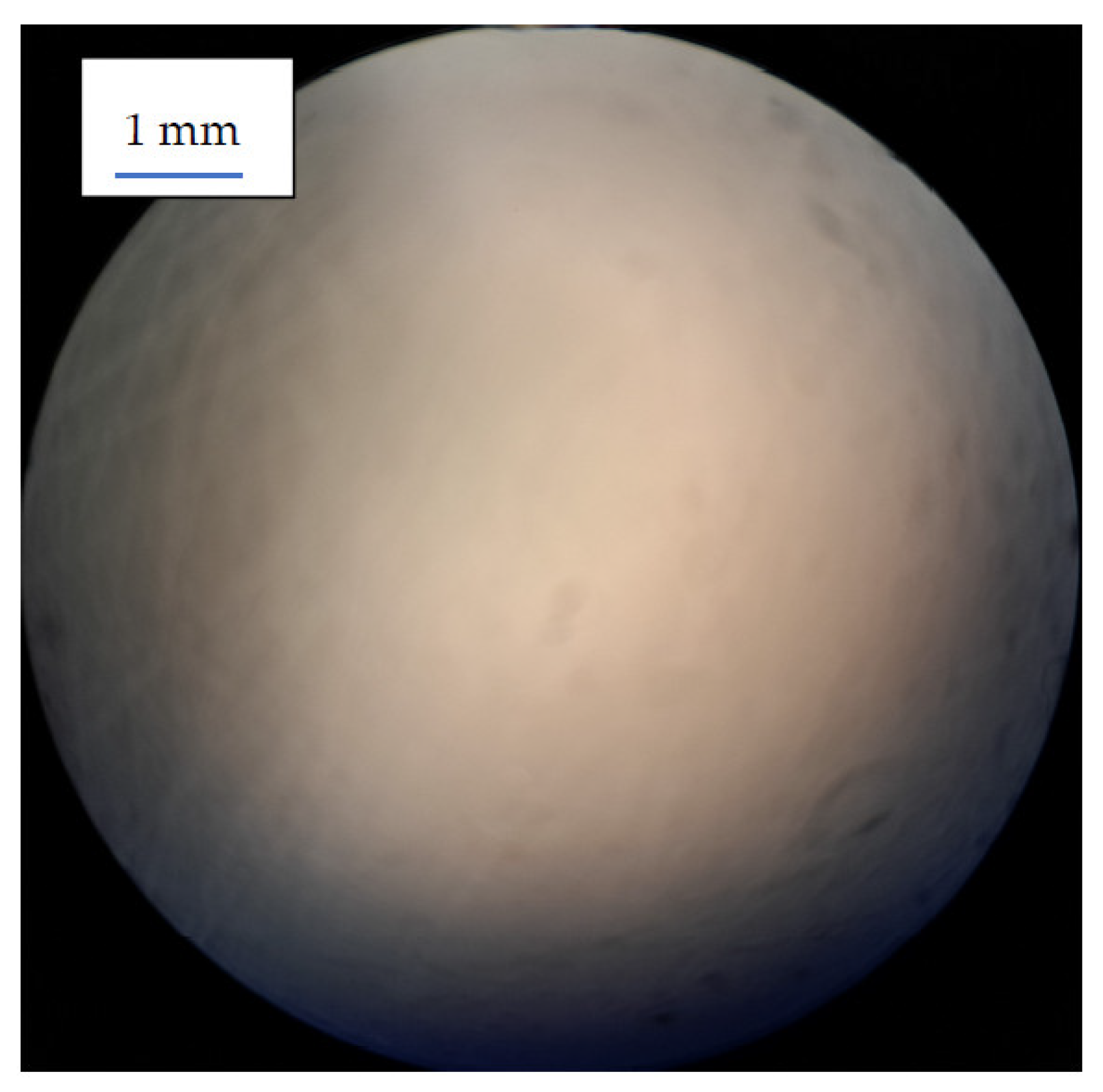 Medicina 59 01359 g003