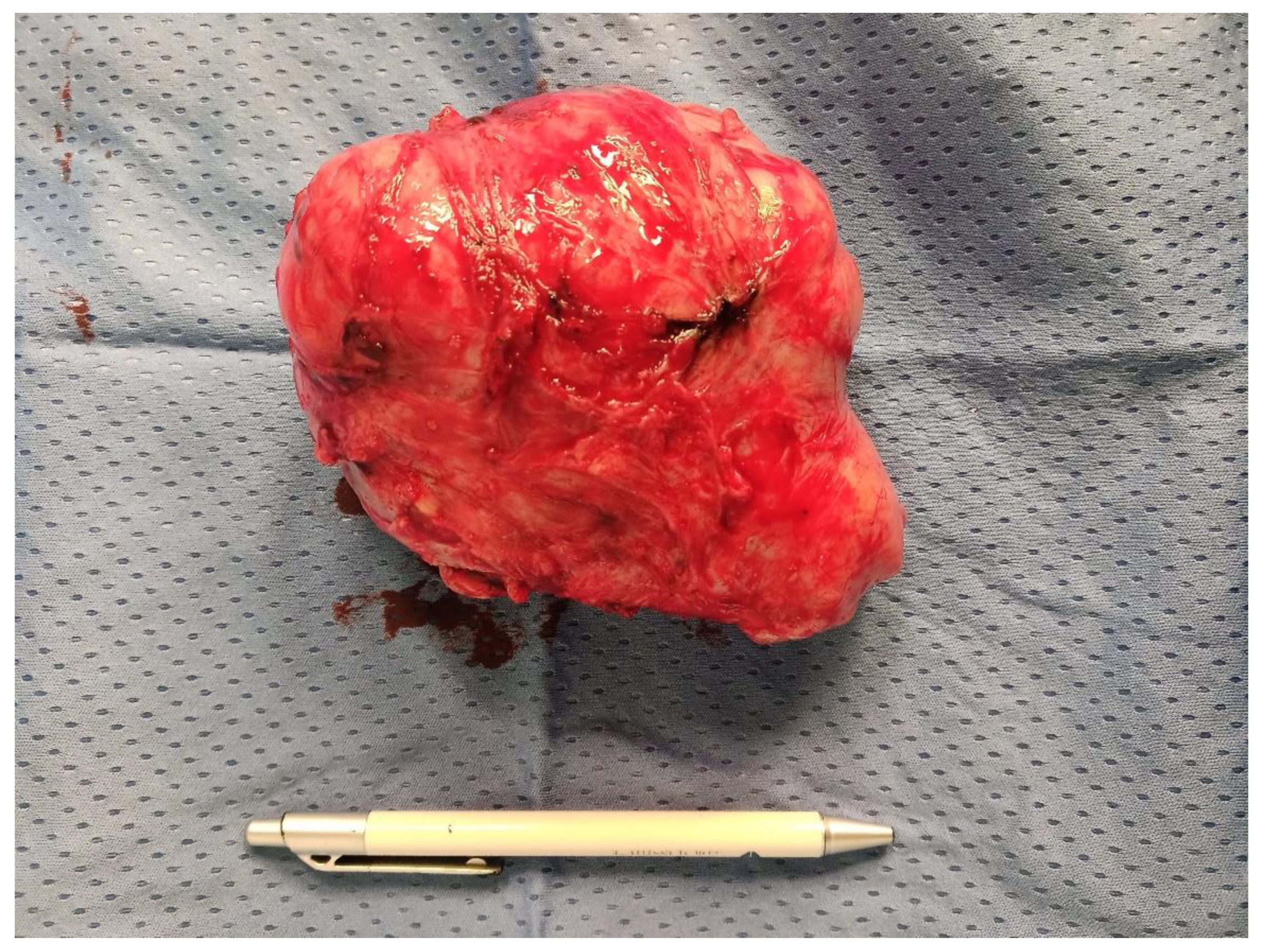 Medicina 59 01371 g002 Medicina 59 01371 g002