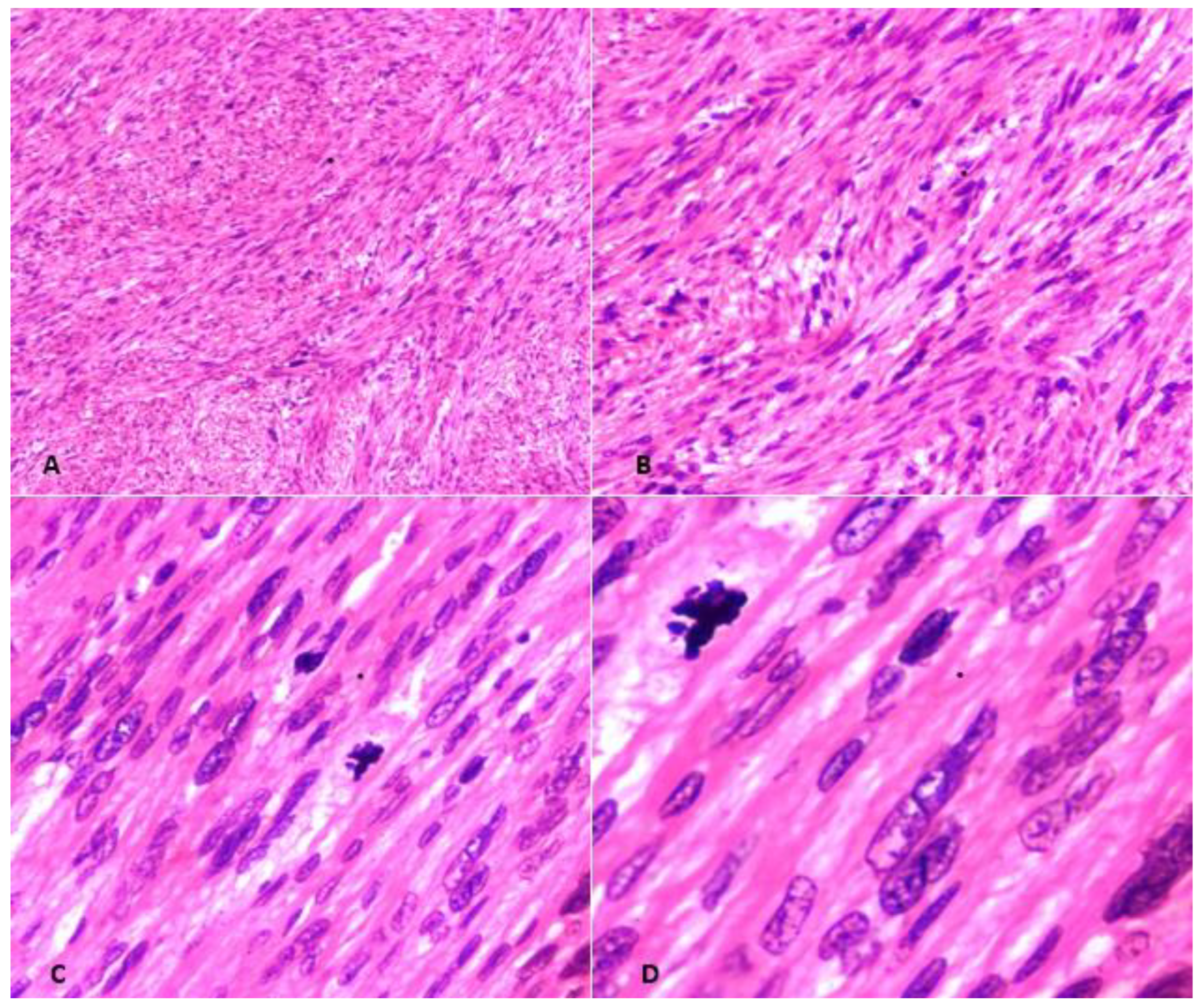 Medicina 59 01371 g003 Medicina 59 01371 g003