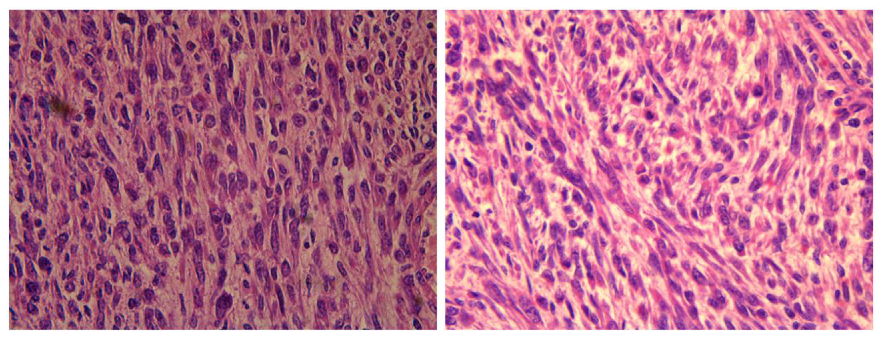 Medicina 59 01371 g007 Medicina 59 01371 g007