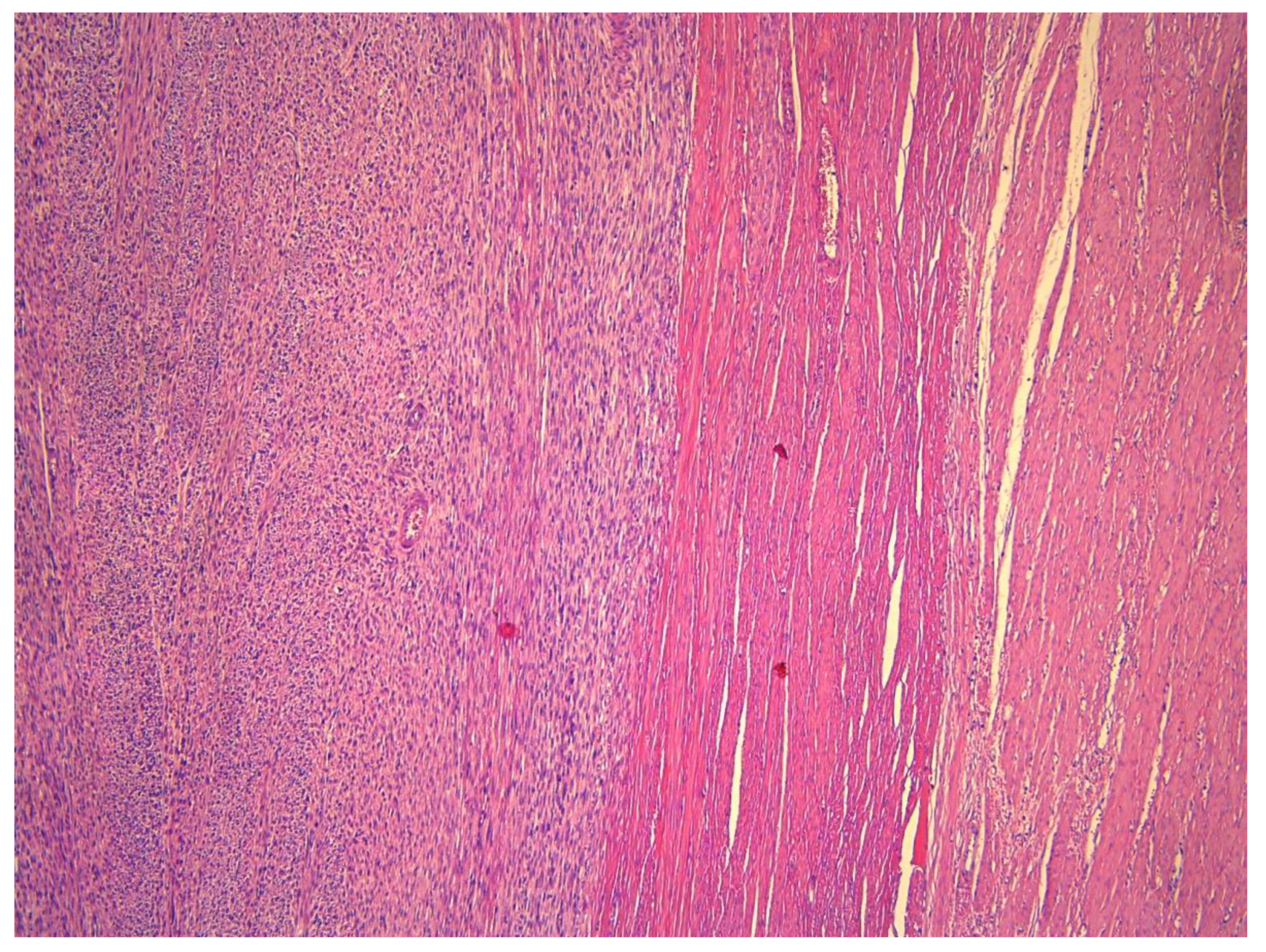 Medicina 59 01371 g008 Medicina 59 01371 g008