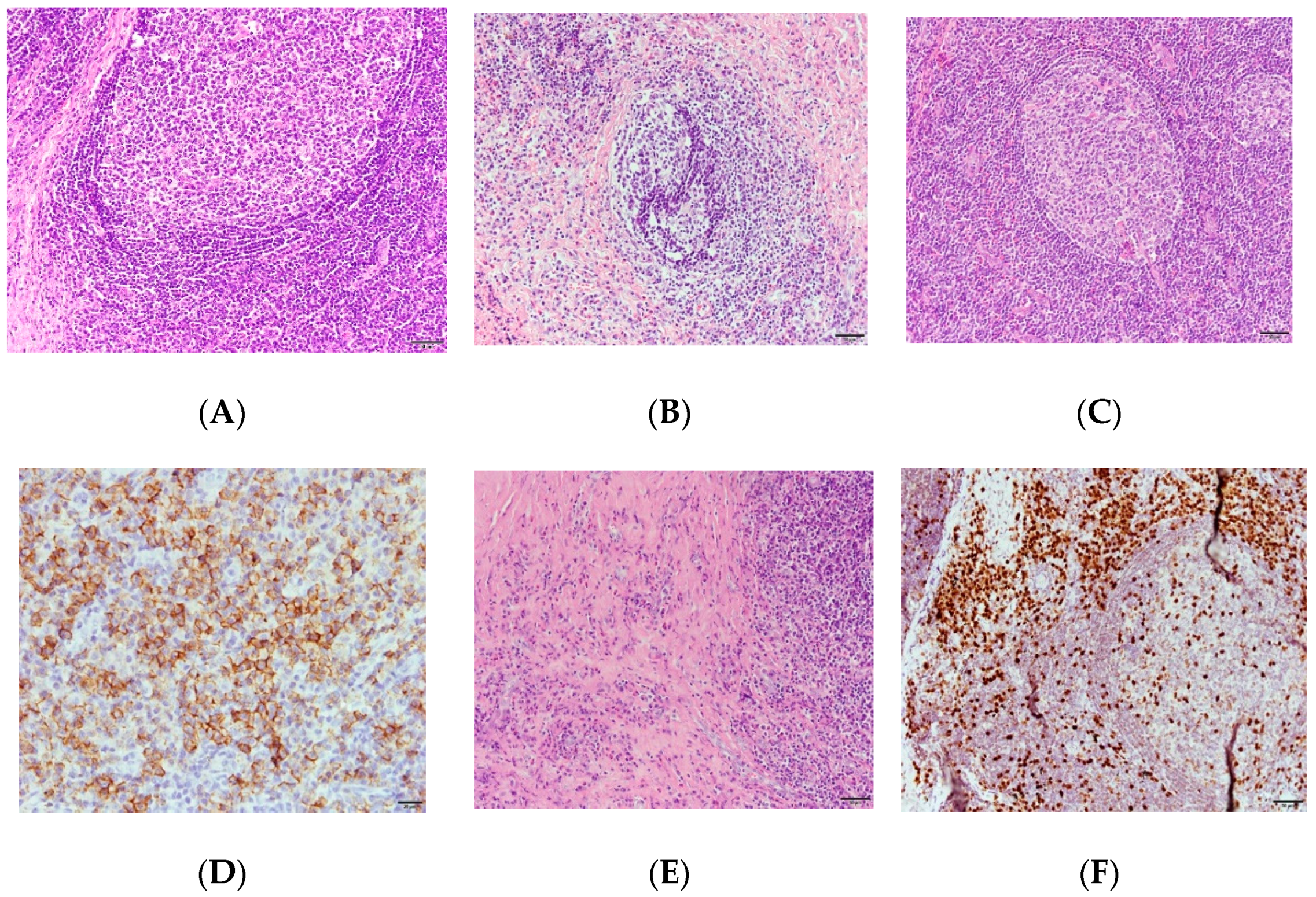 Medicina 59 01381 g003