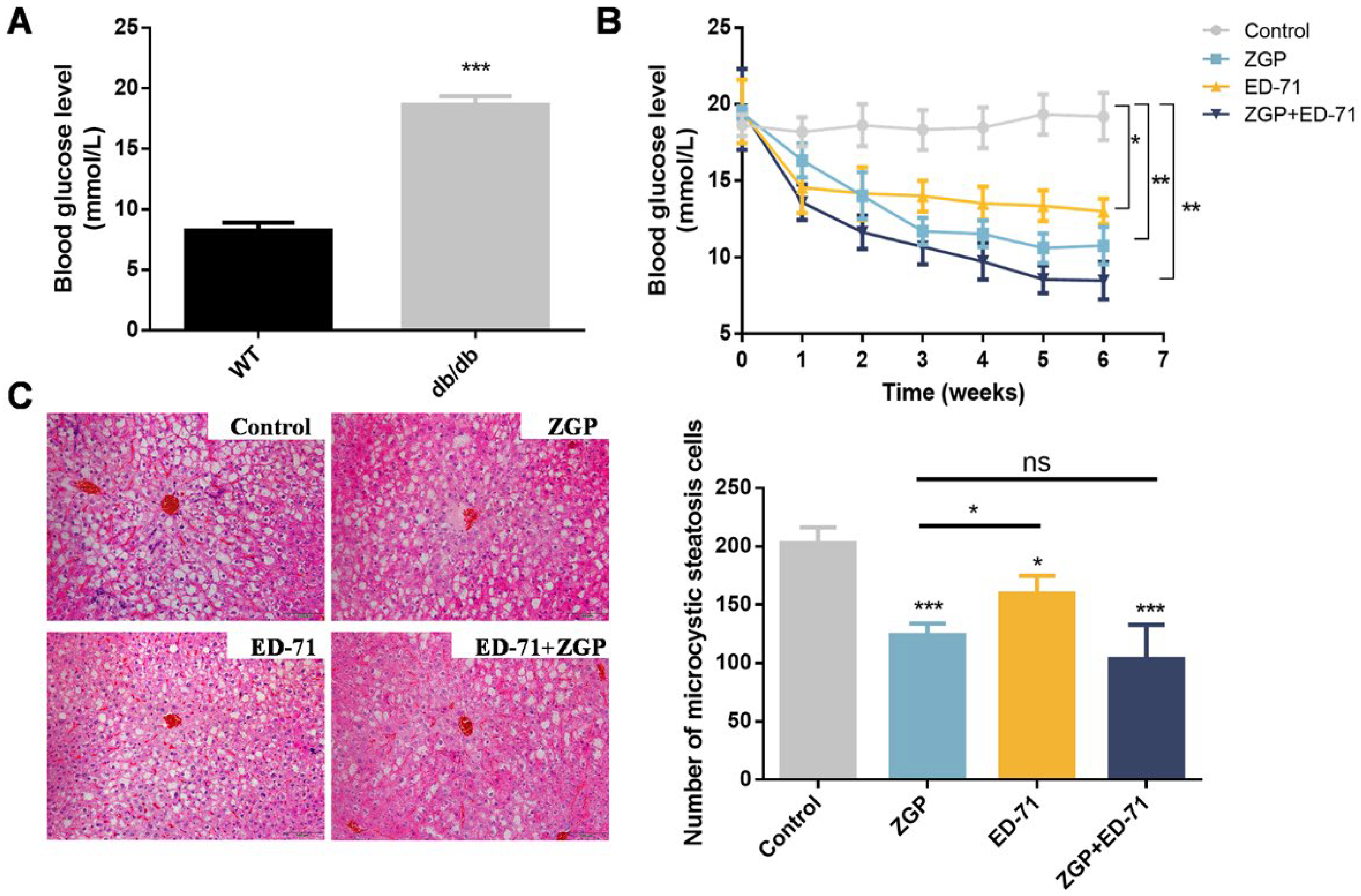 Medicina 59 01414 g001 Medicina 59 01414 g001