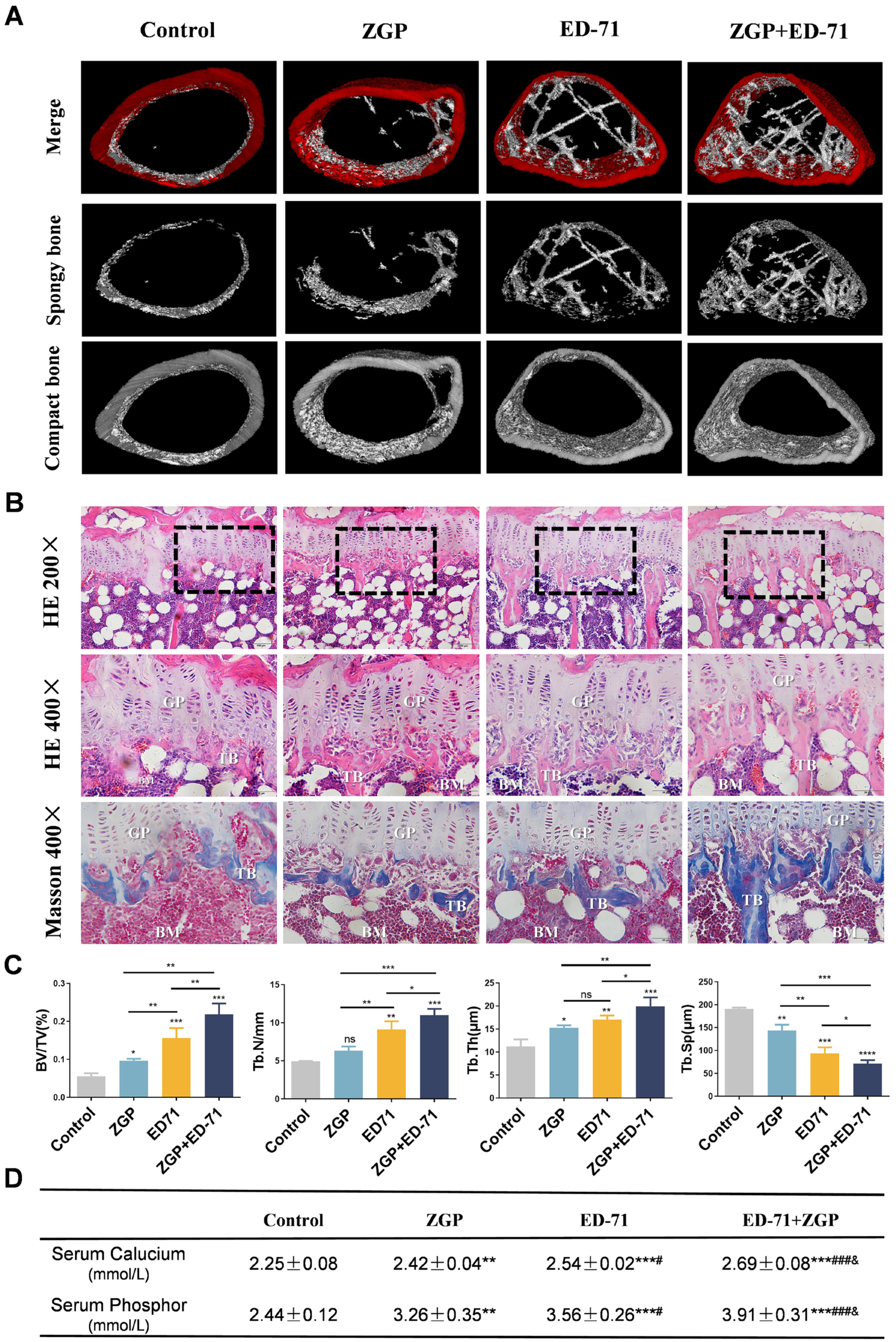 Medicina 59 01414 g002 Medicina 59 01414 g002