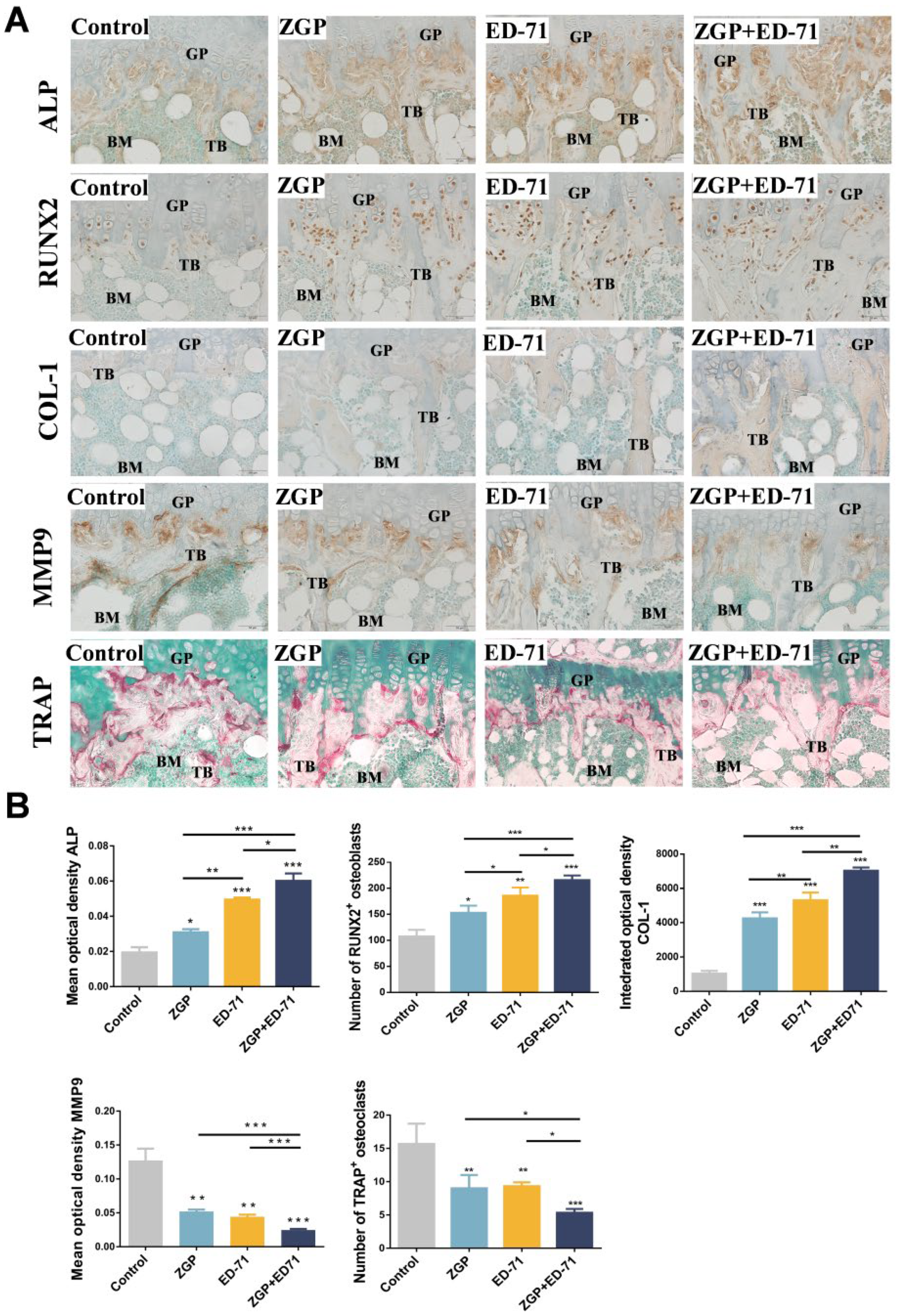 Medicina 59 01414 g003 Medicina 59 01414 g003