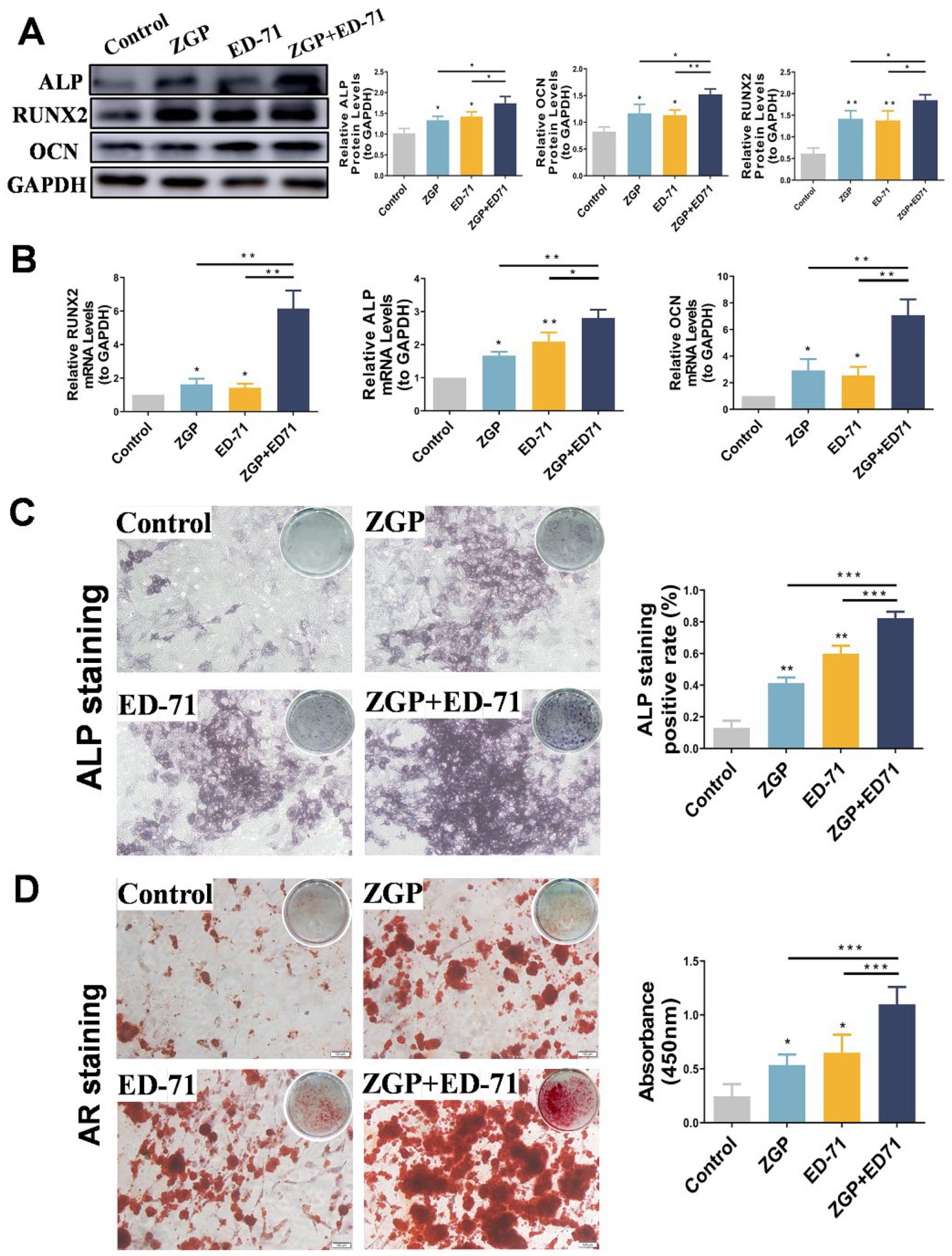 Medicina 59 01414 g004 Medicina 59 01414 g004