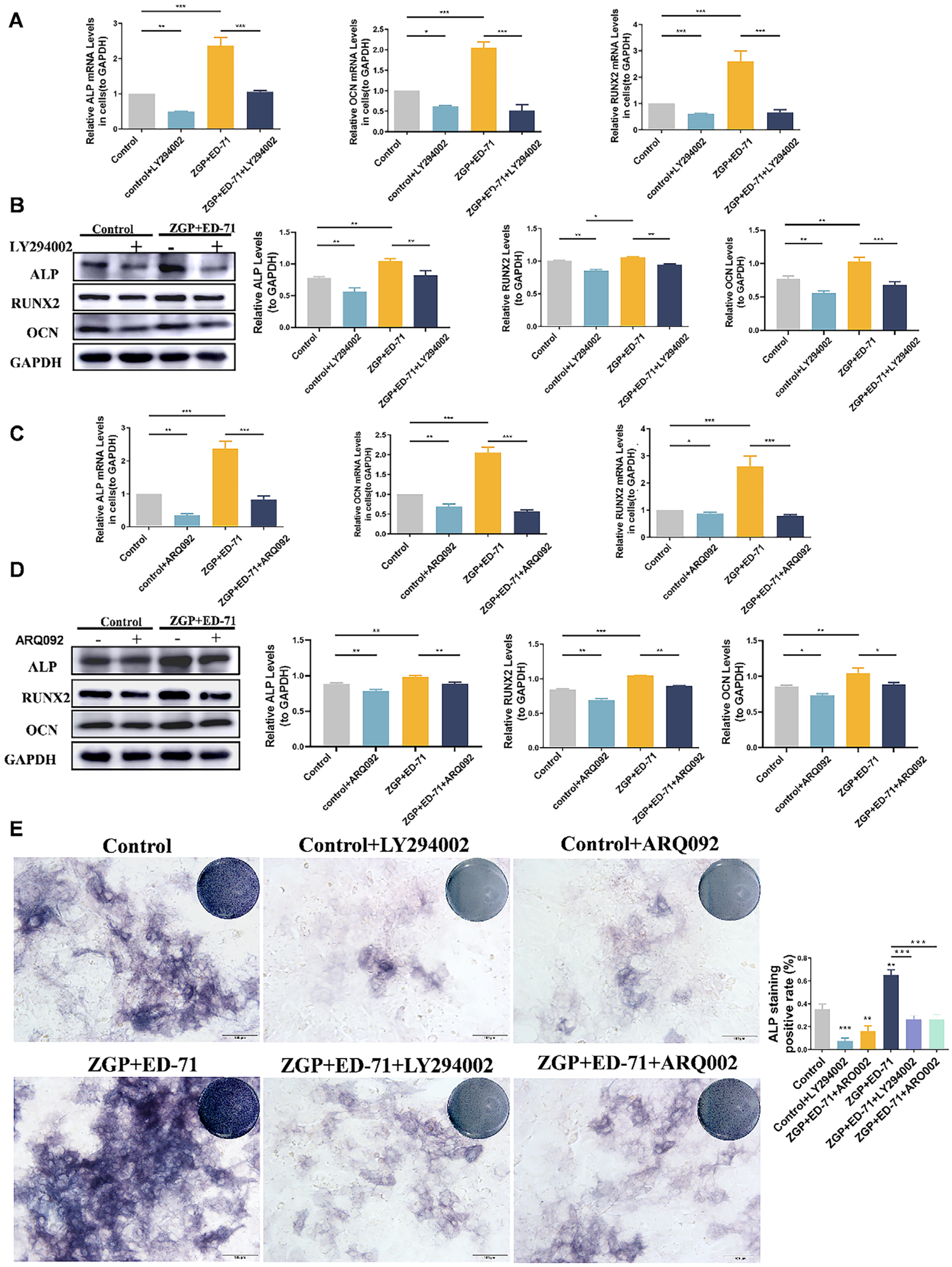 Medicina 59 01414 g006 Medicina 59 01414 g006