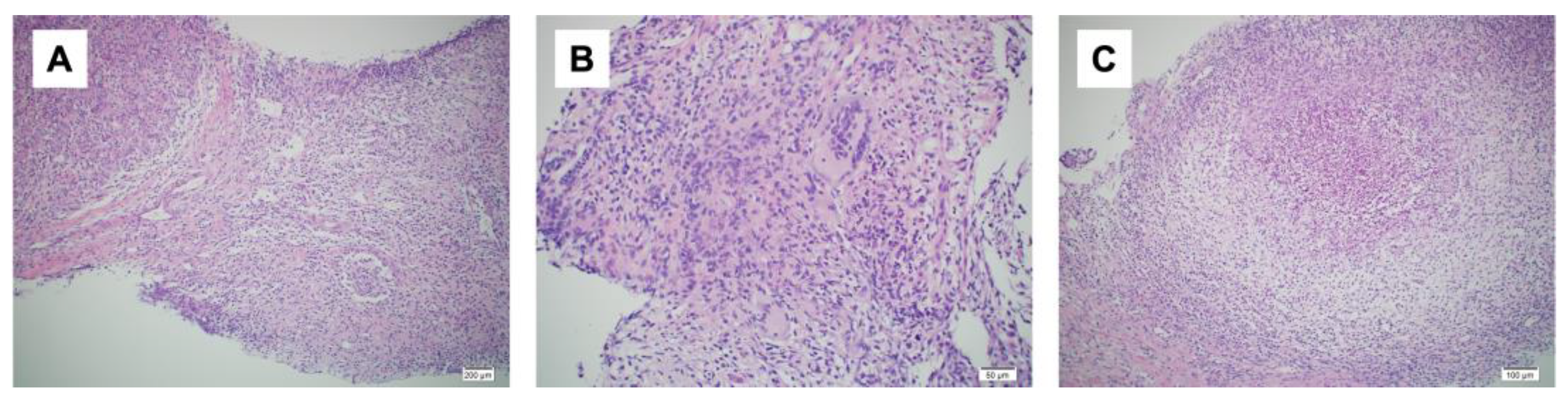 Medicina 59 01418 g003