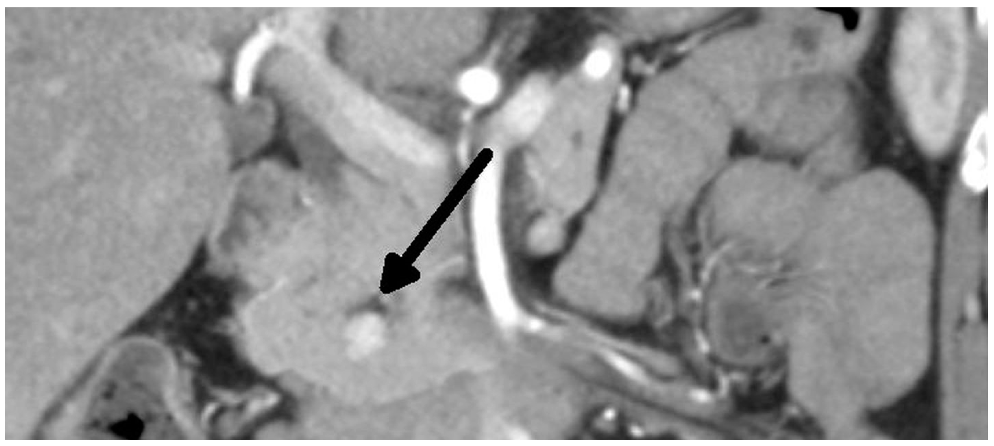 Medicina 59 01423 g001 Medicina 59 01423 g001