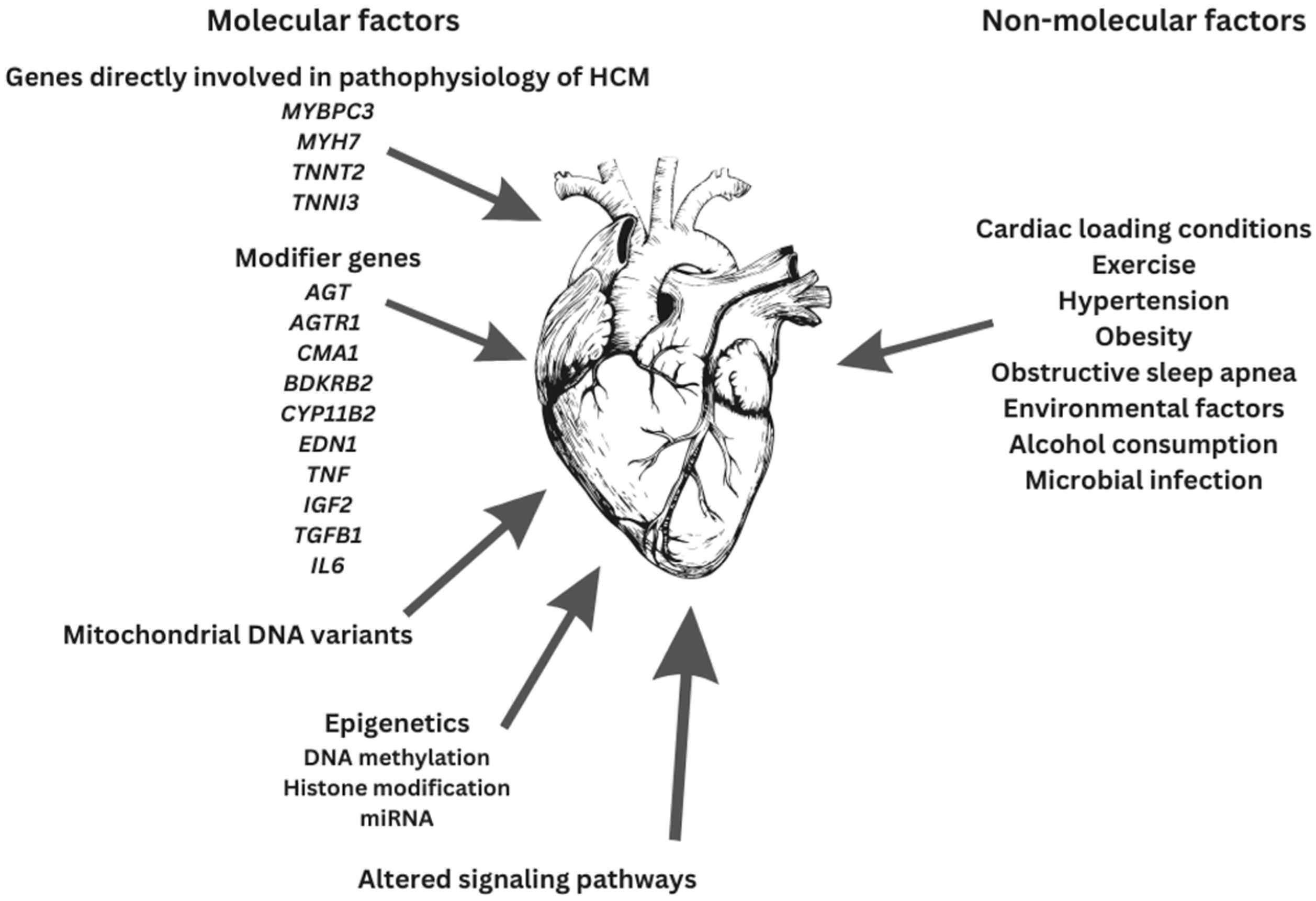 Medicina 59 01424 g002