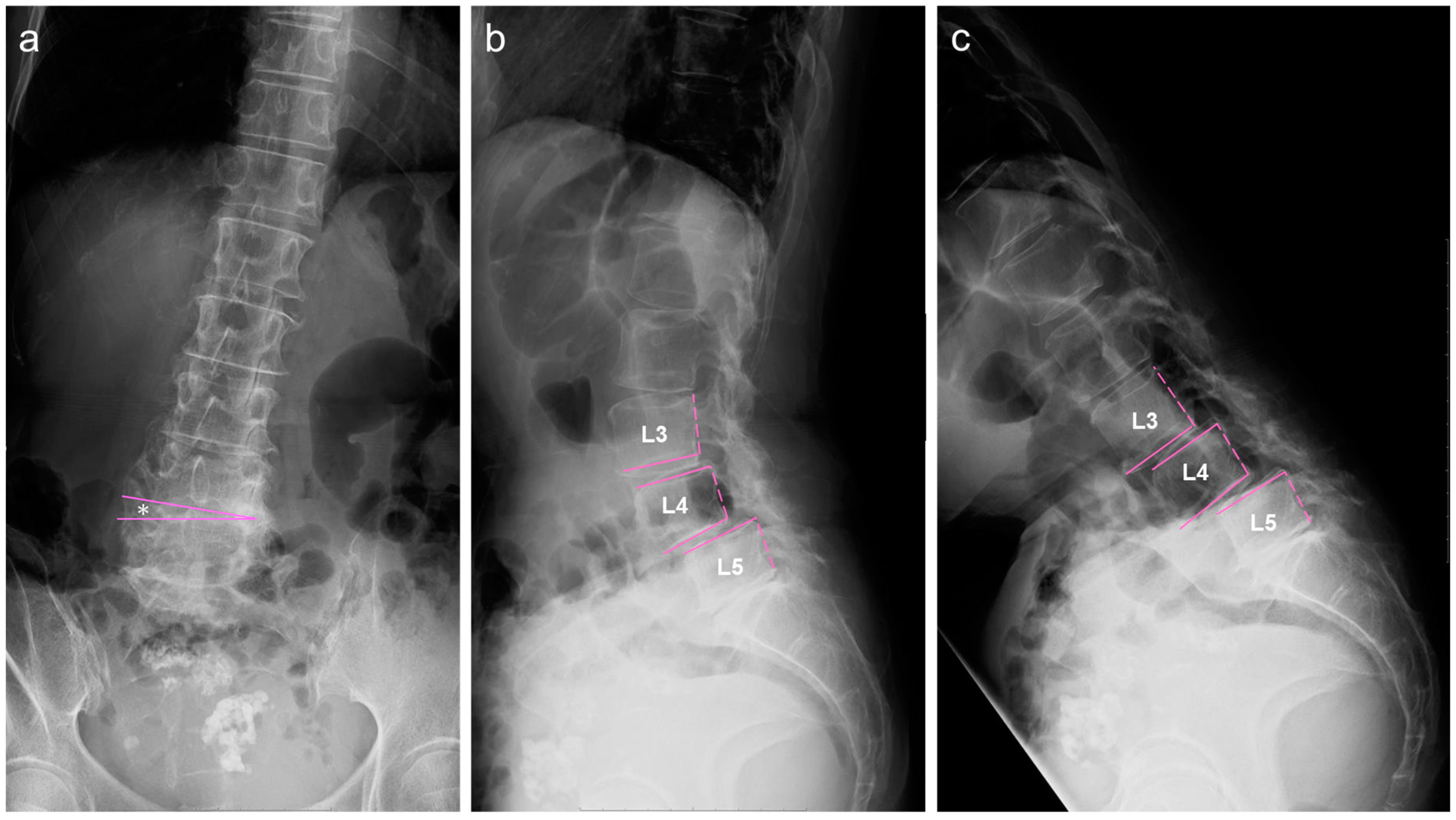 Medicina 59 01443 g001