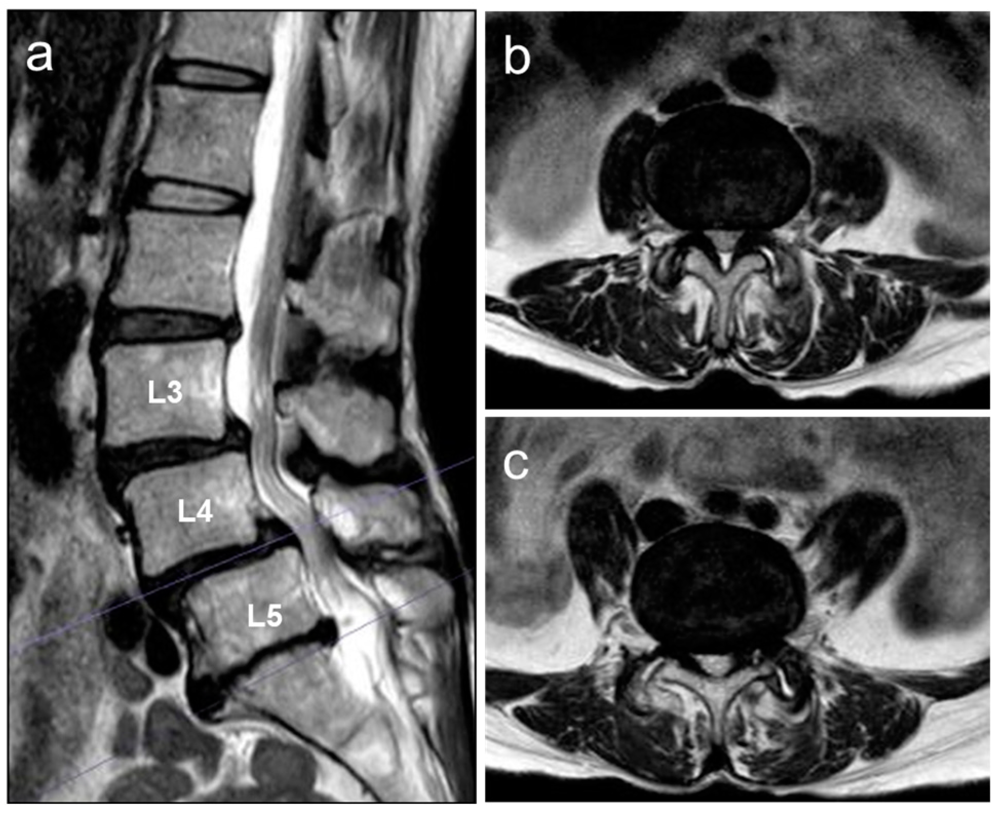 Medicina 59 01443 g002
