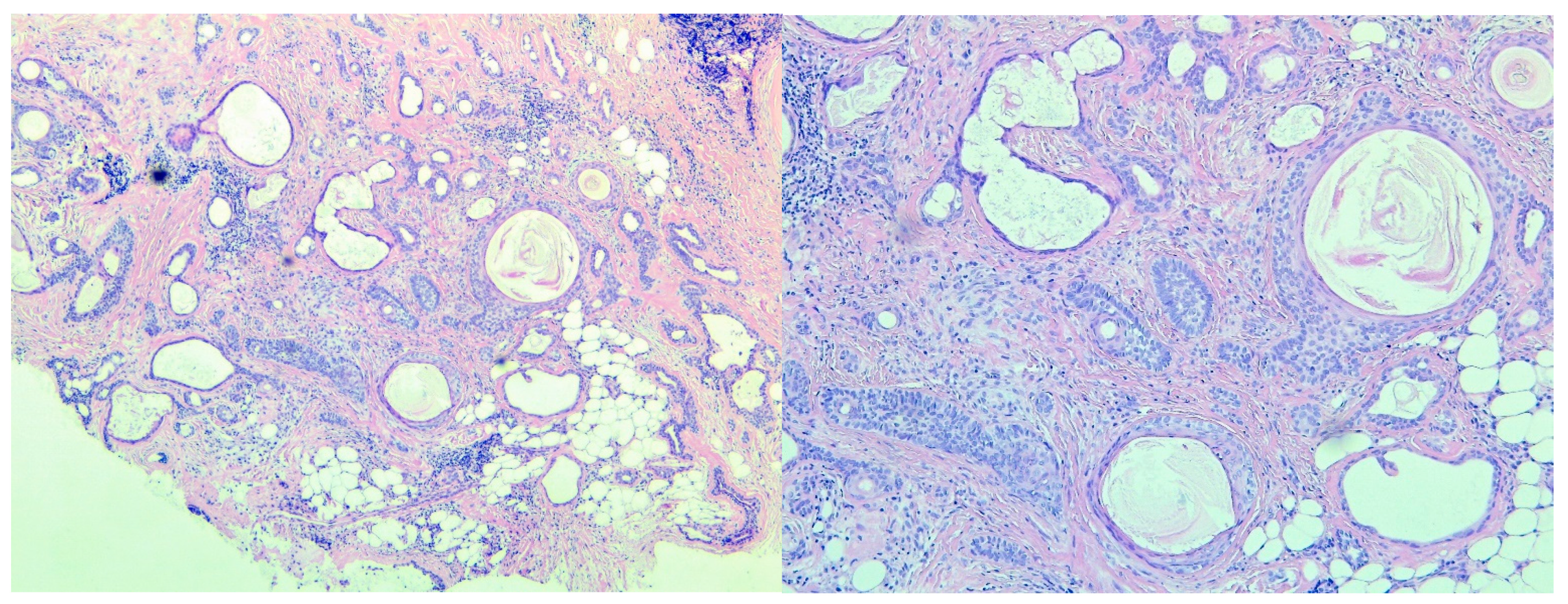 Medicina 59 01465 g006