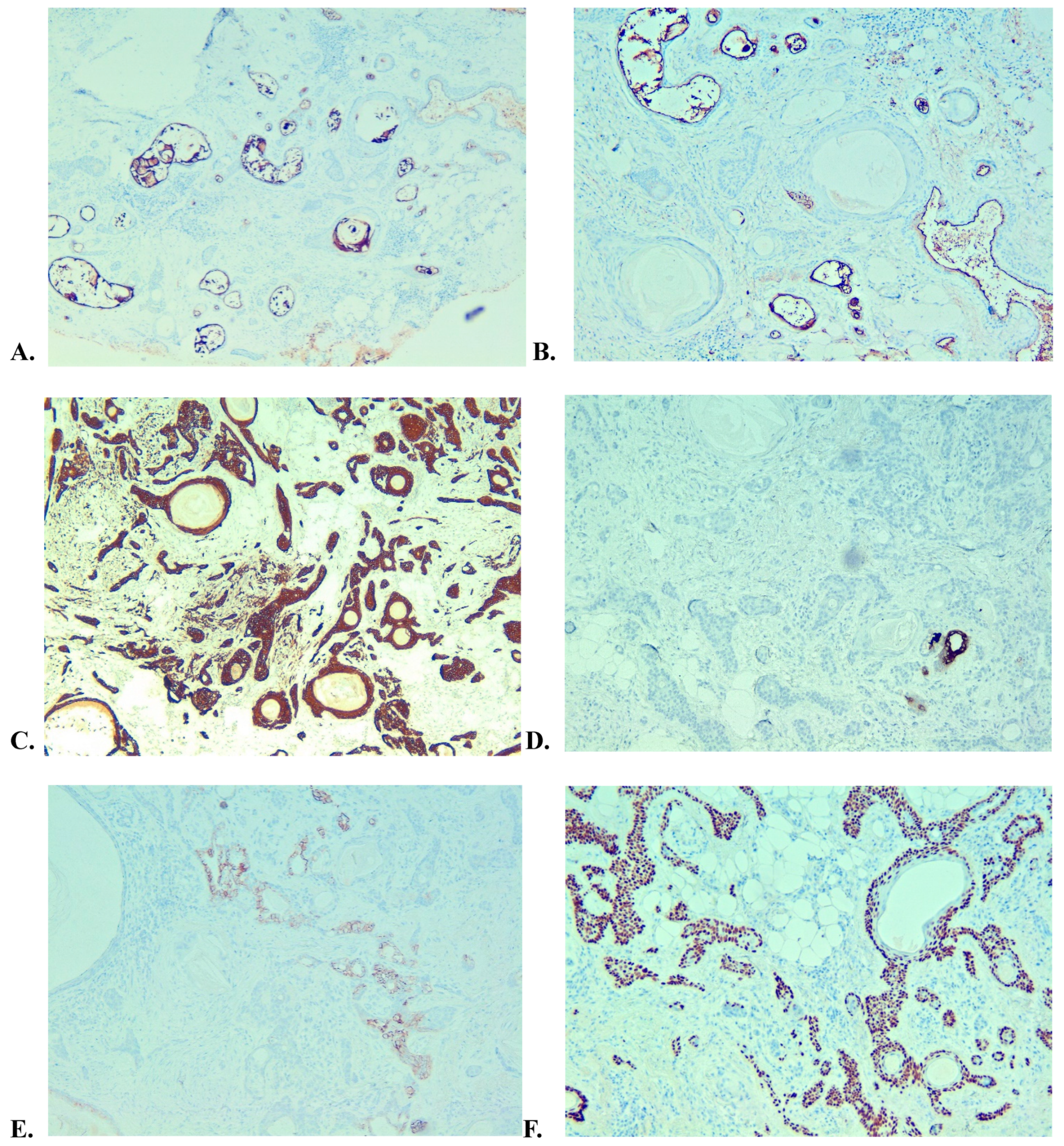 Medicina 59 01465 g007