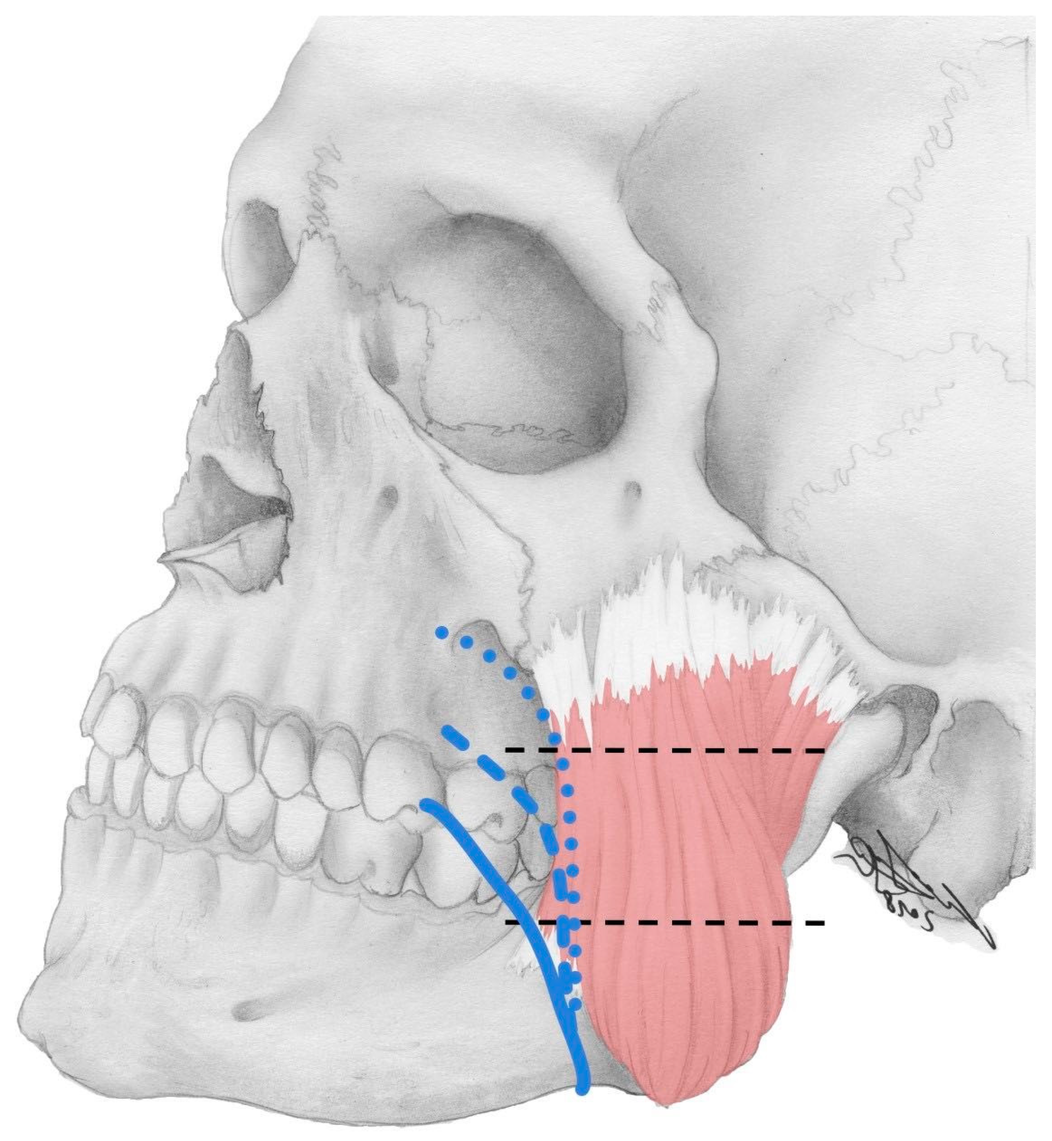 Medicina 59 01479 g002