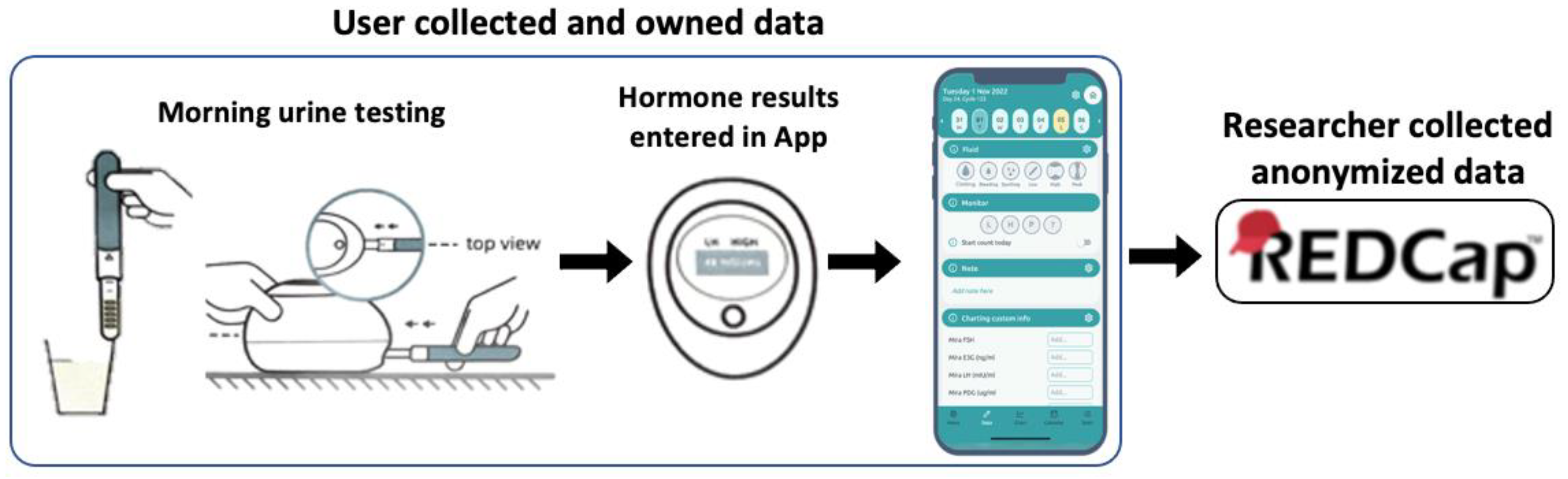 Medicina 59 01513 g003 Medicina 59 01513 g003