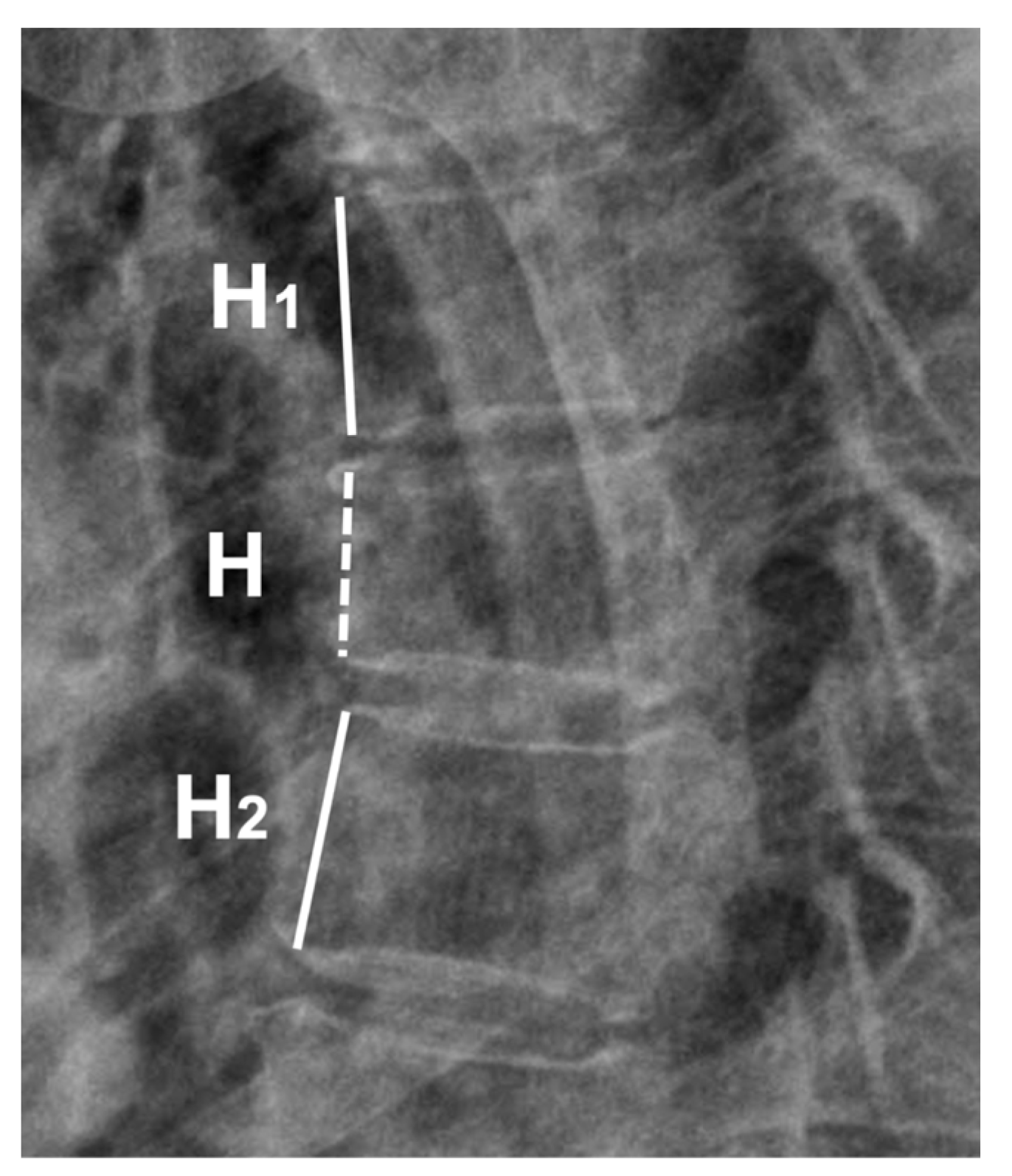 Medicina 59 01529 g001