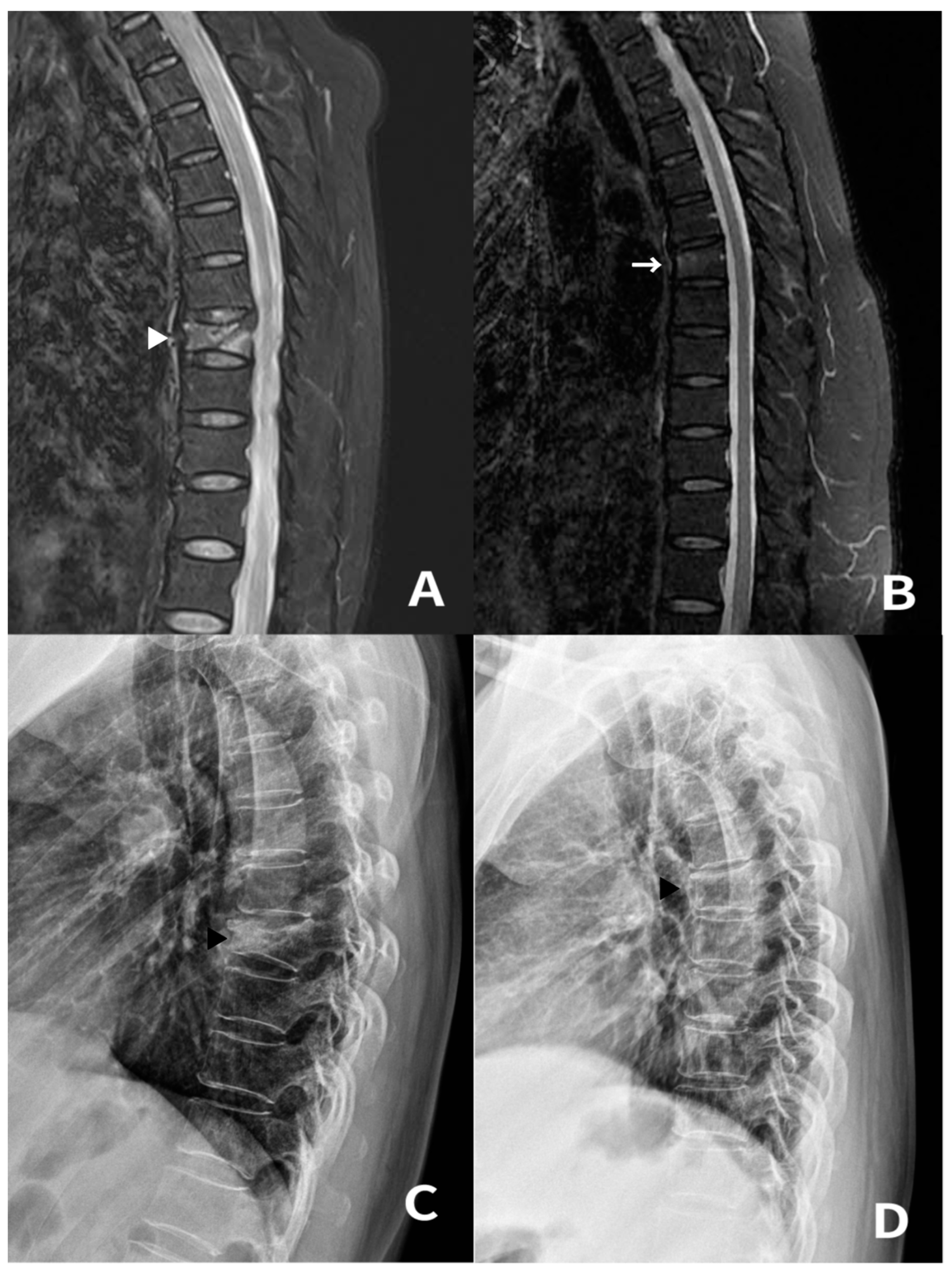 Medicina 59 01529 g002