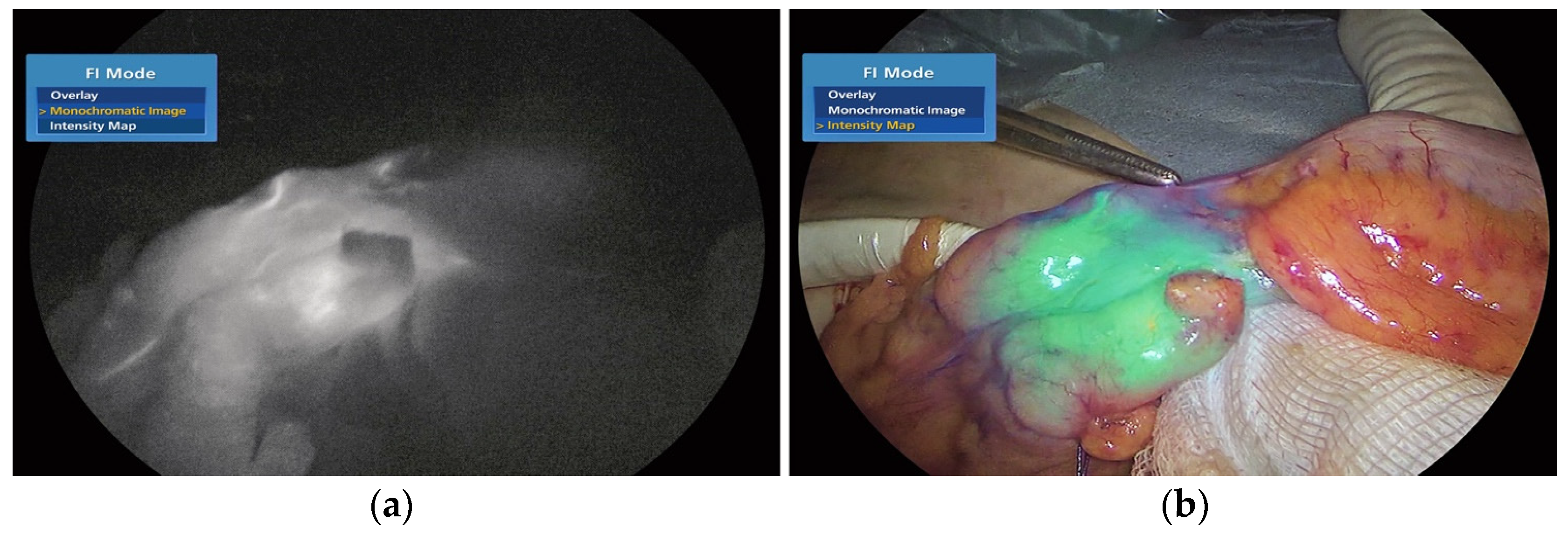 Medicina 59 01530 g001