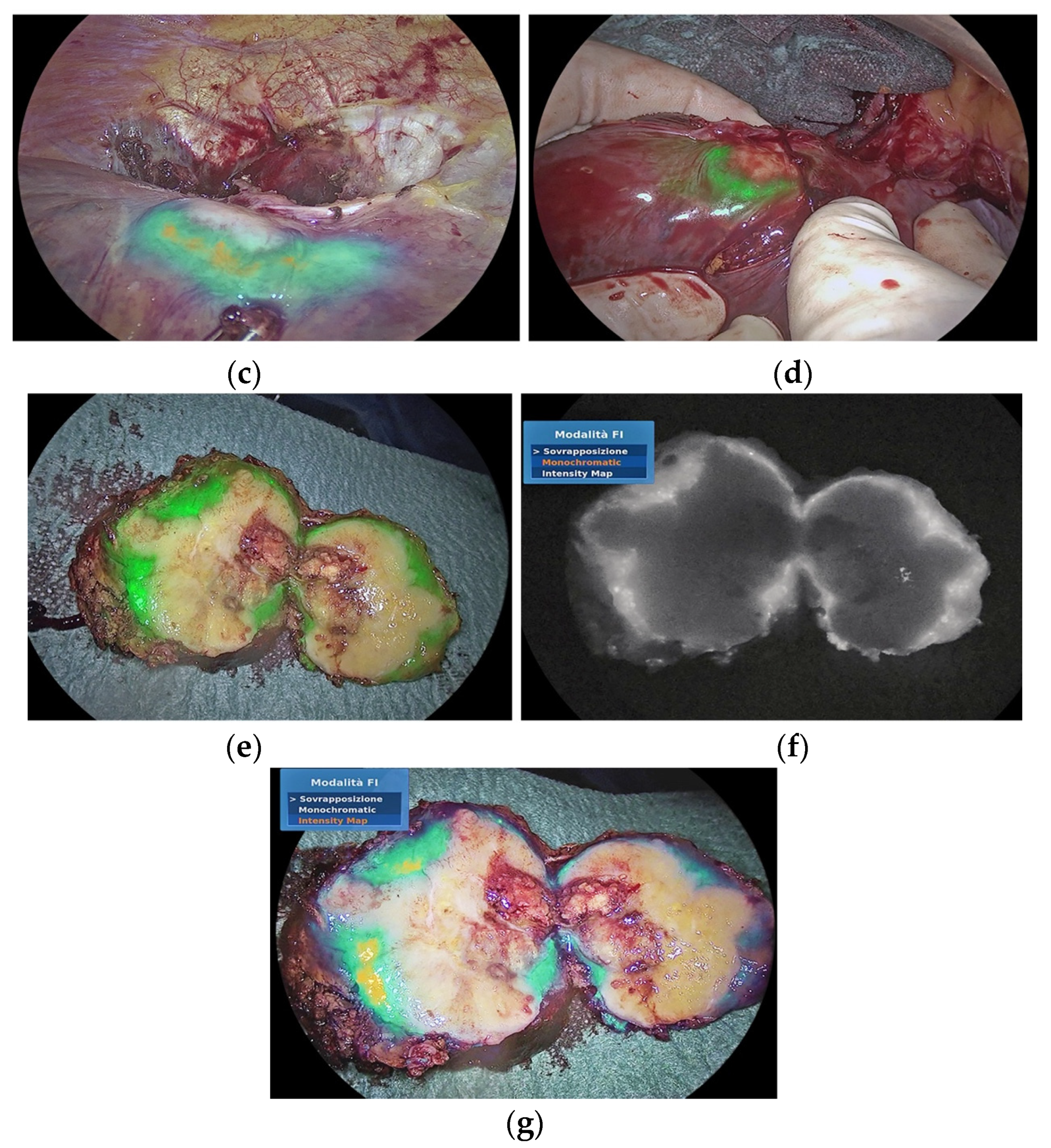 Medicina 59 01530 g002b