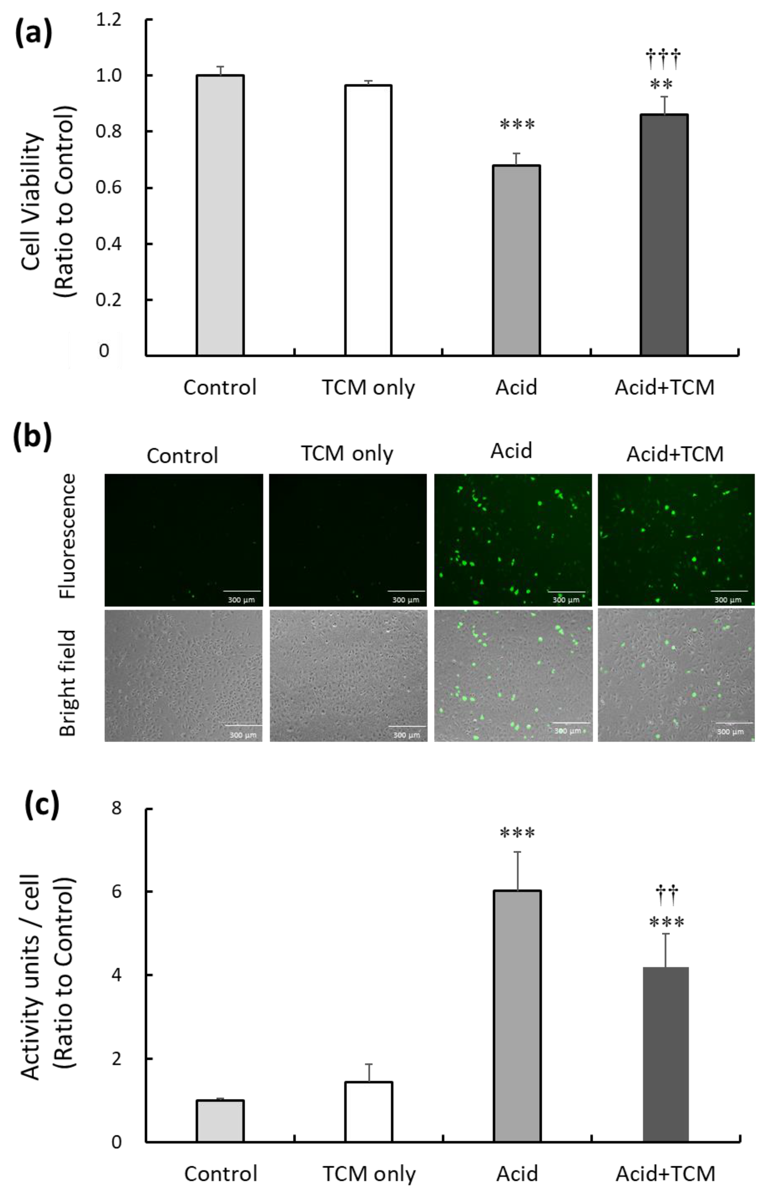 Medicina 59 01554 g001