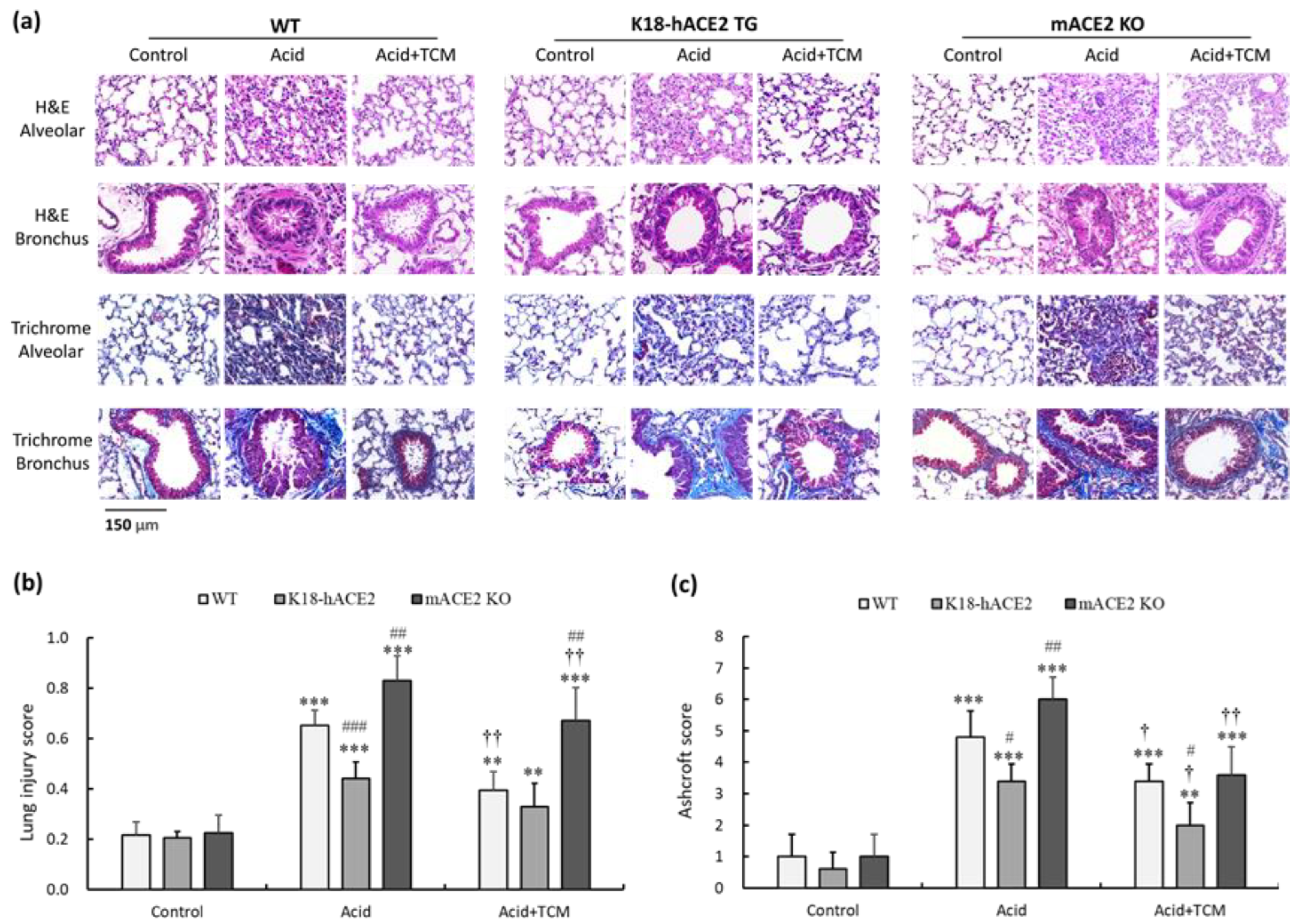 Medicina 59 01554 g003