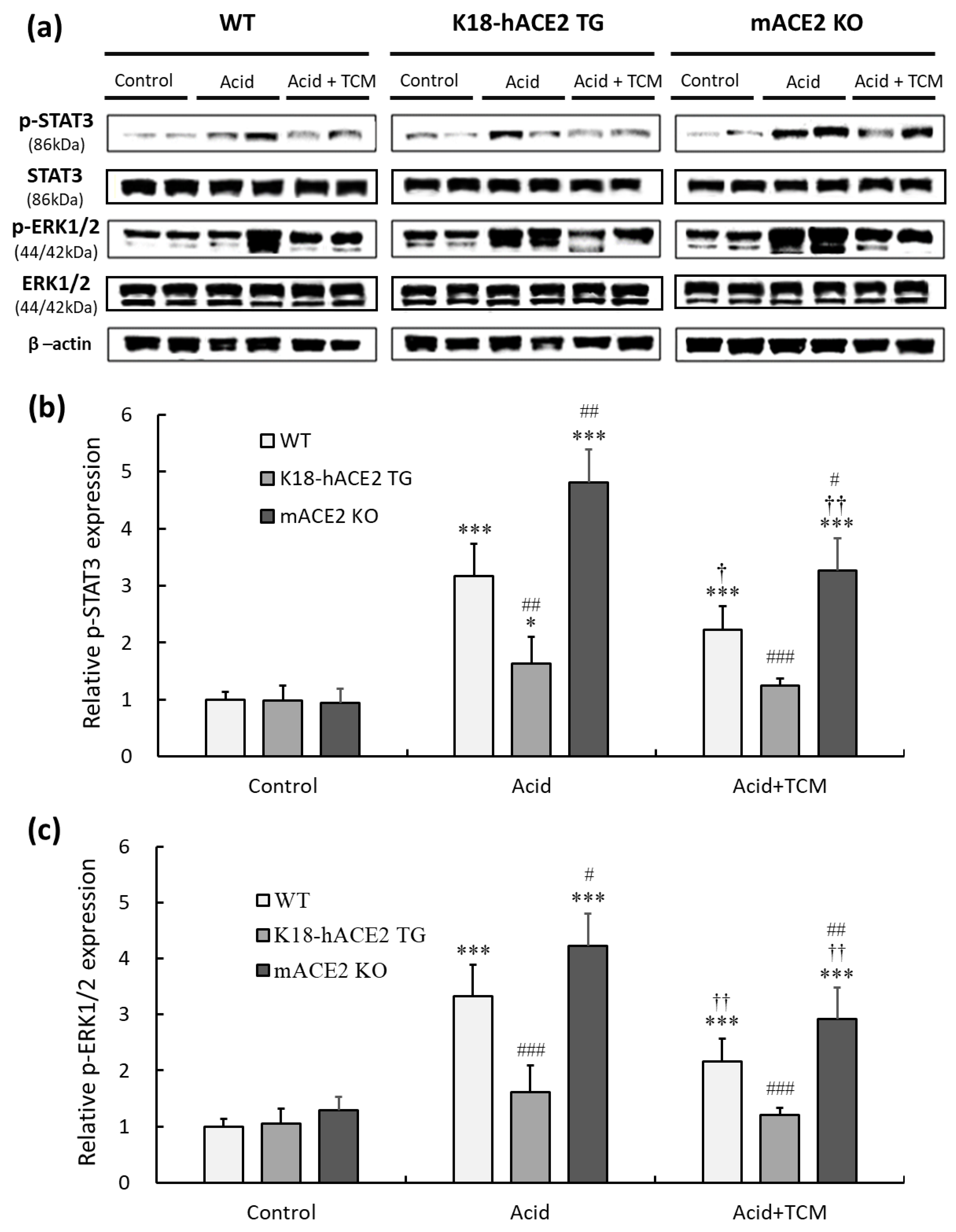 Medicina 59 01554 g006