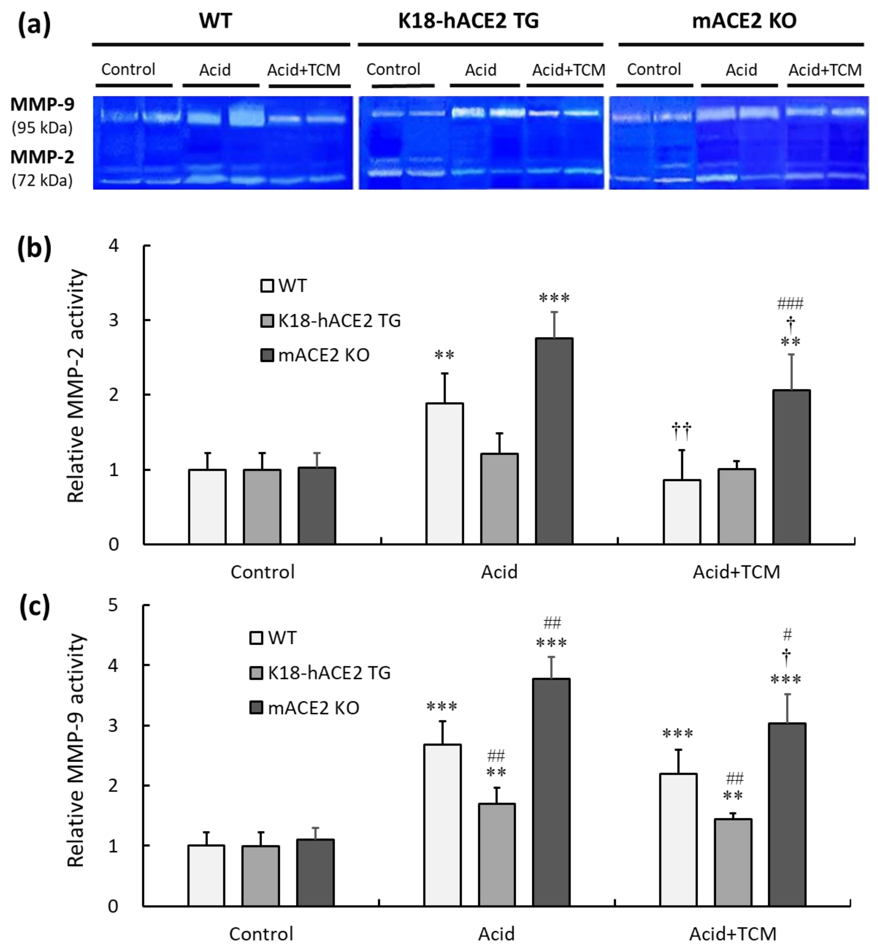 Medicina 59 01554 g007