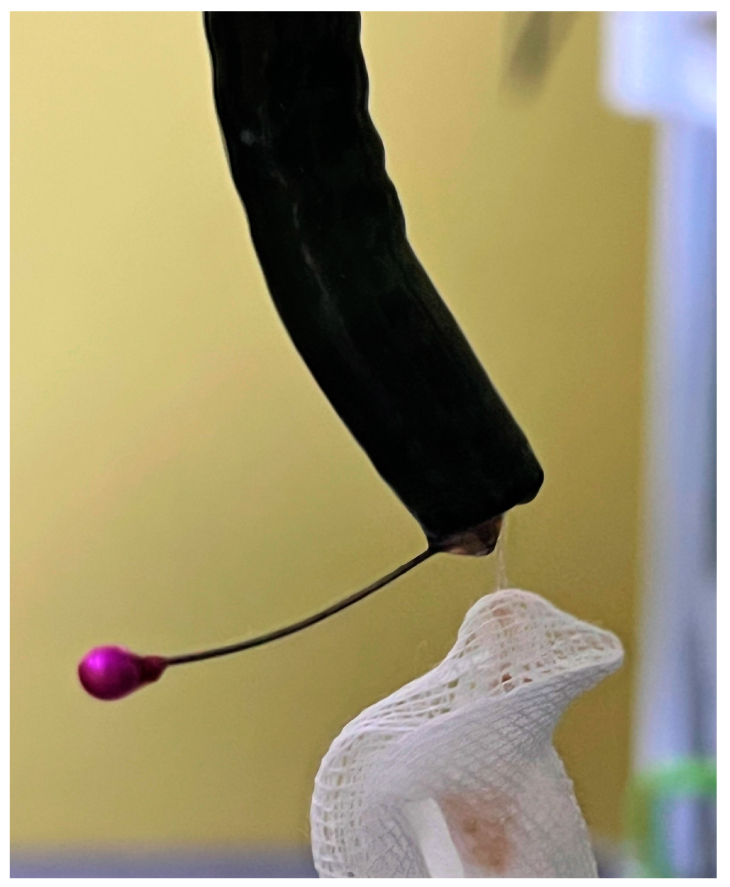 Medicina 59 01566 g003