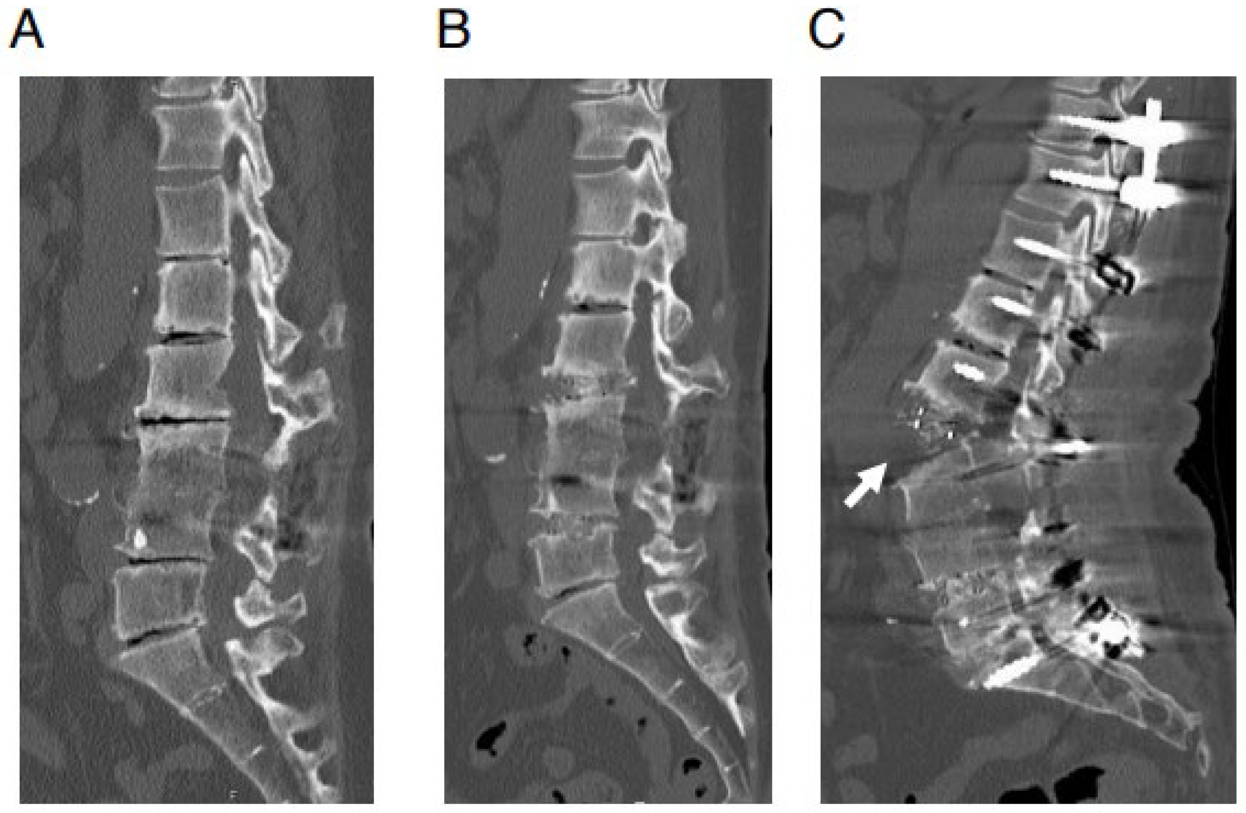 Medicina 59 01569 g001