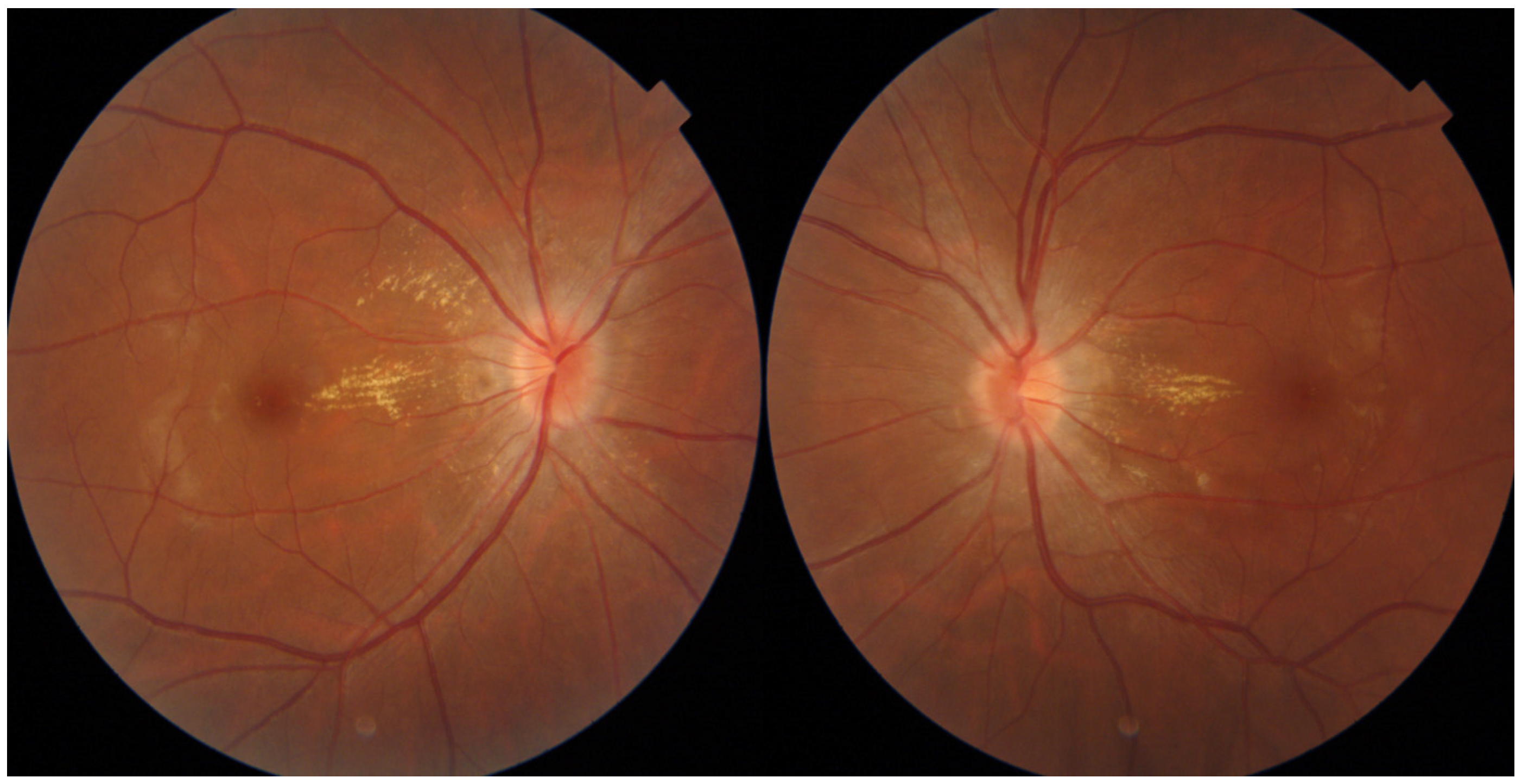 Medicina 59 01573 g002