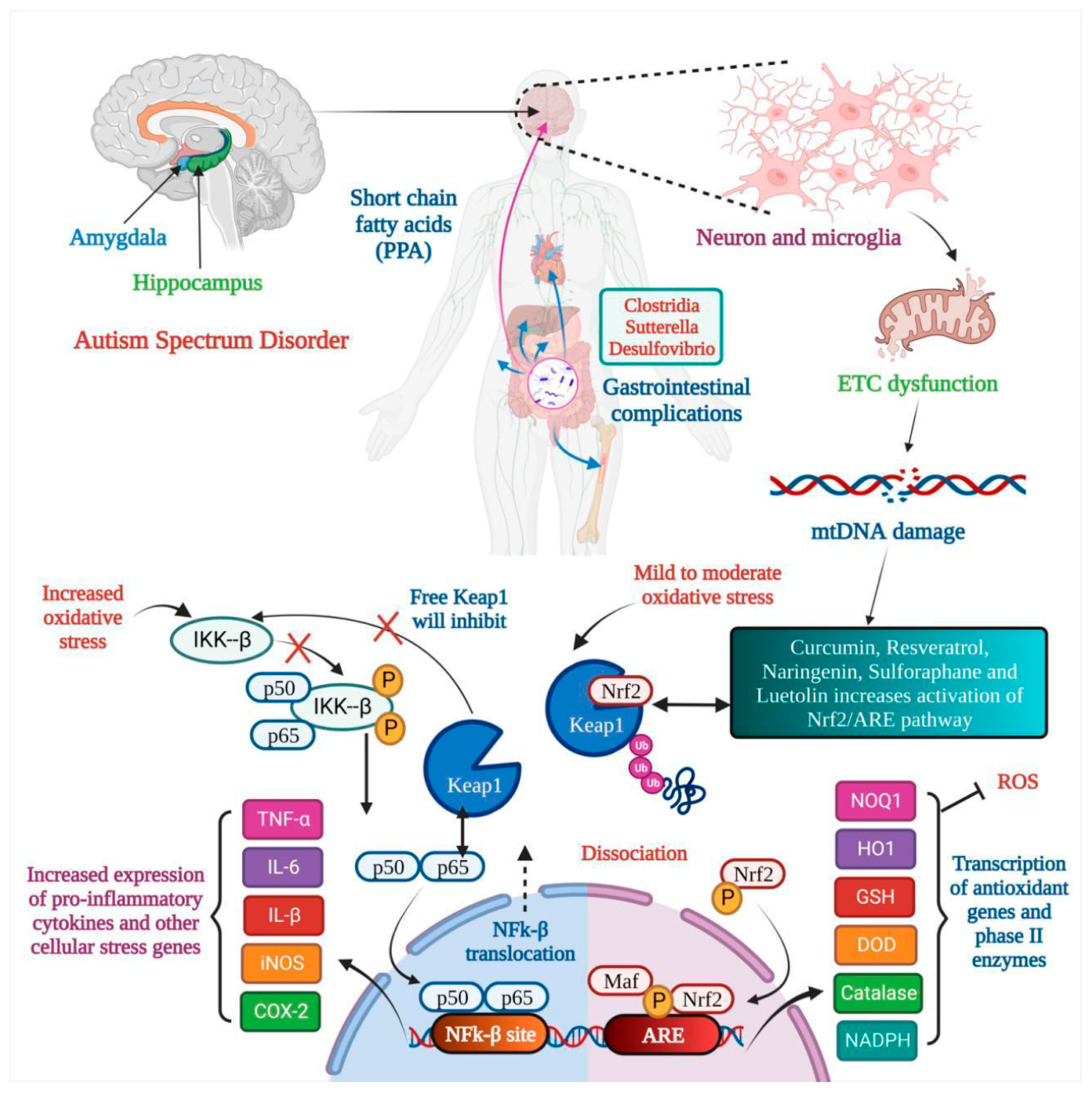 Medicina 59 01584 g001