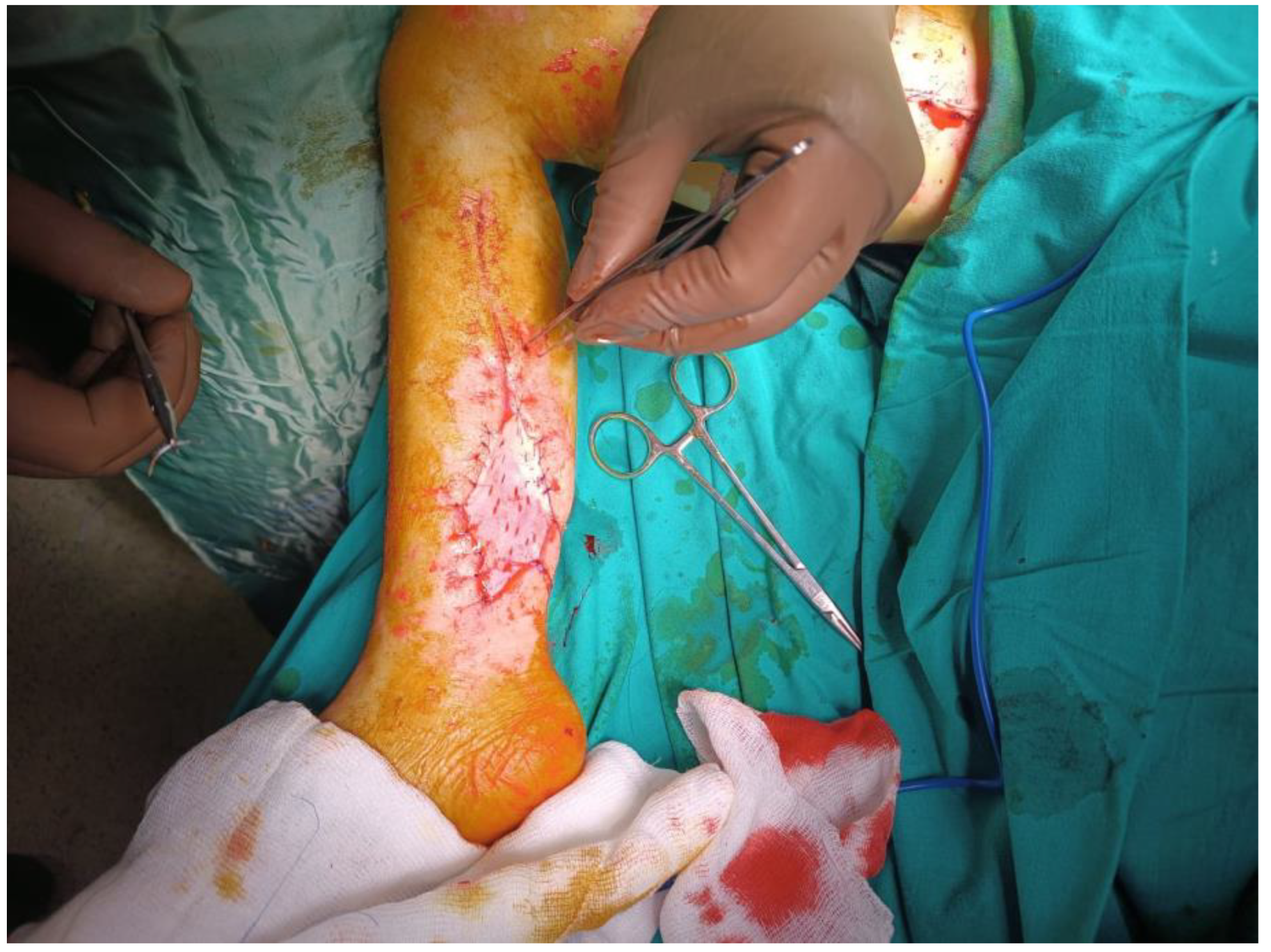 Medicina 59 01593 g002