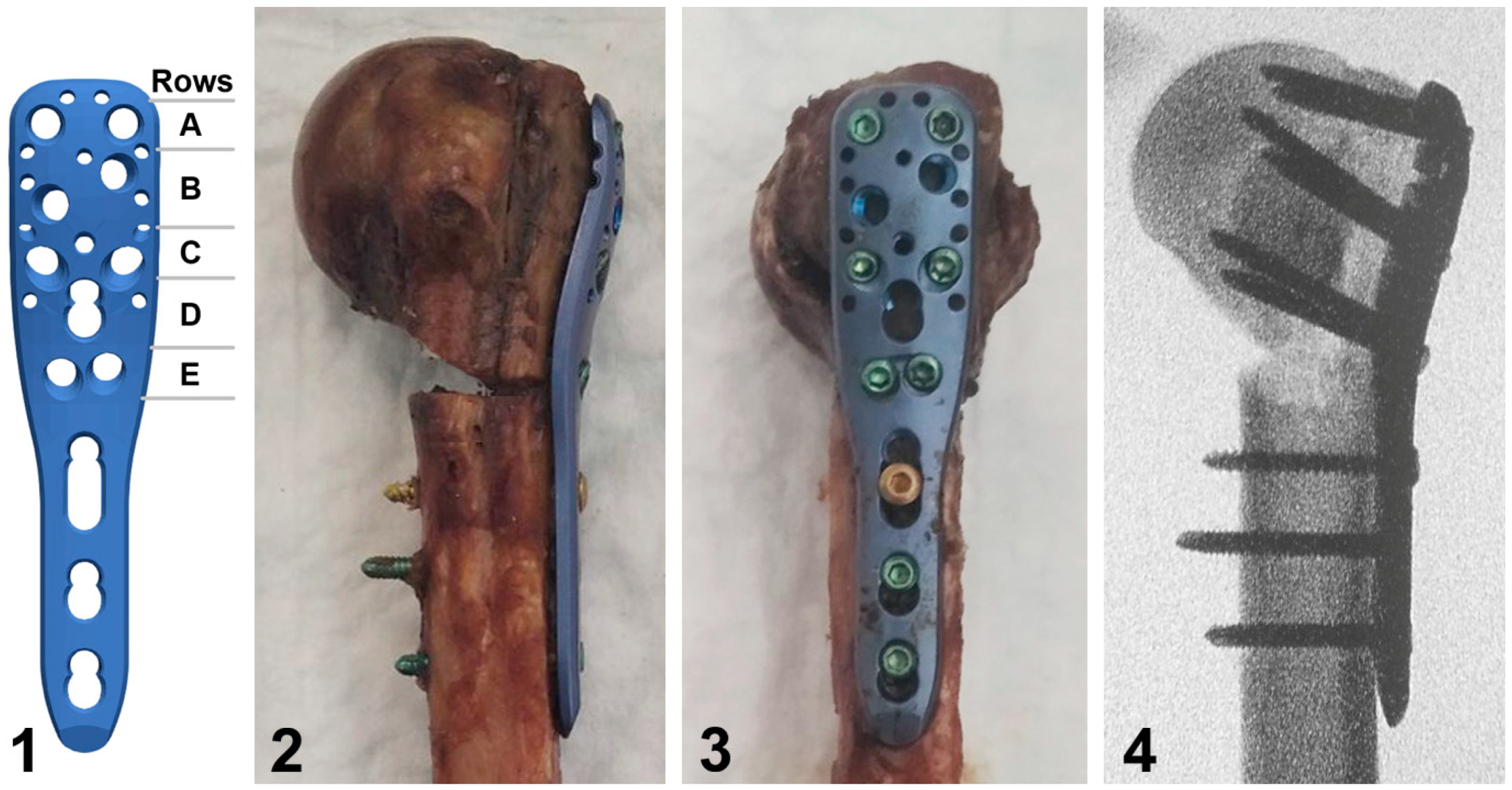 Medicina 59 01604 g002
