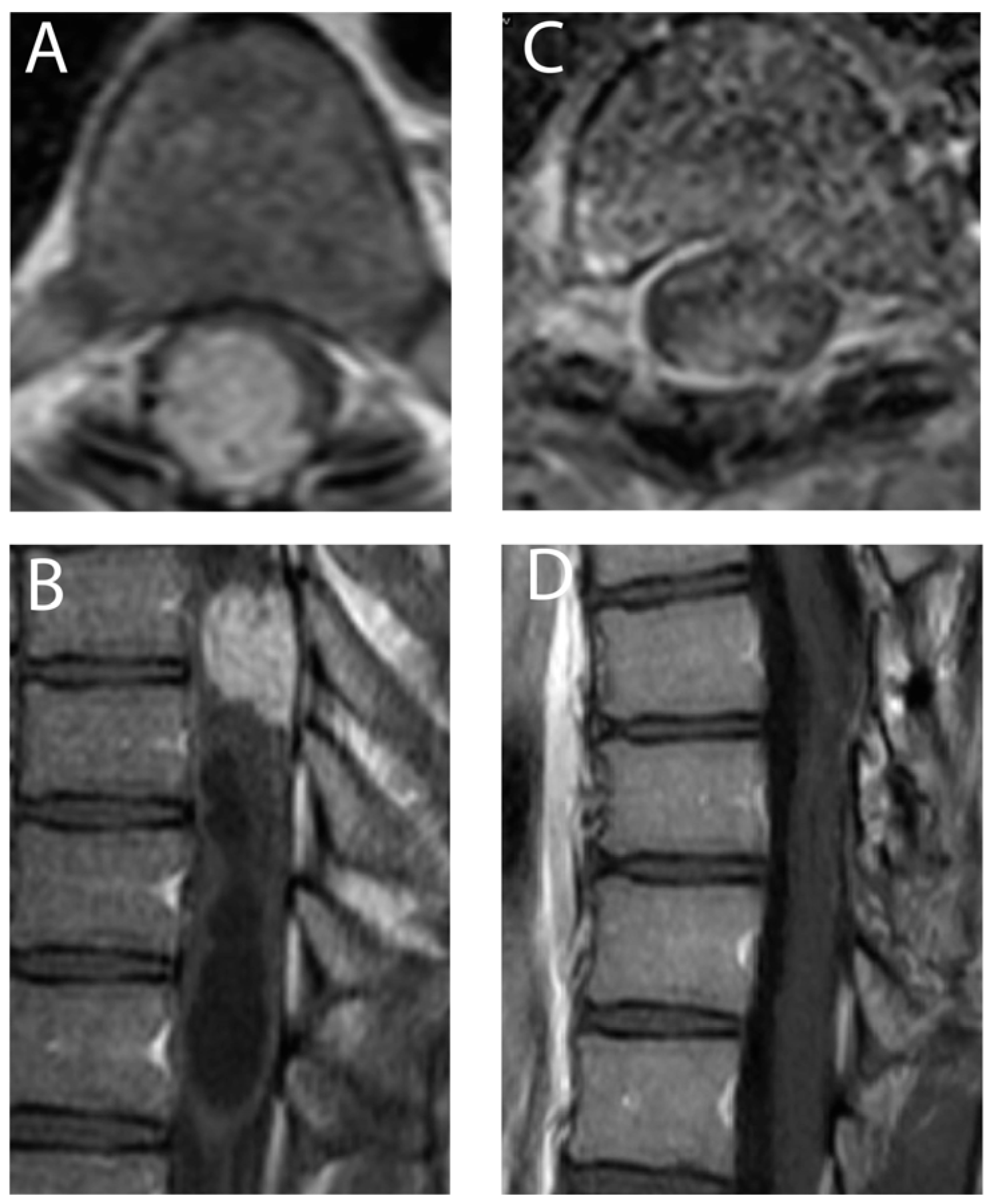 Medicina 59 01611 g001