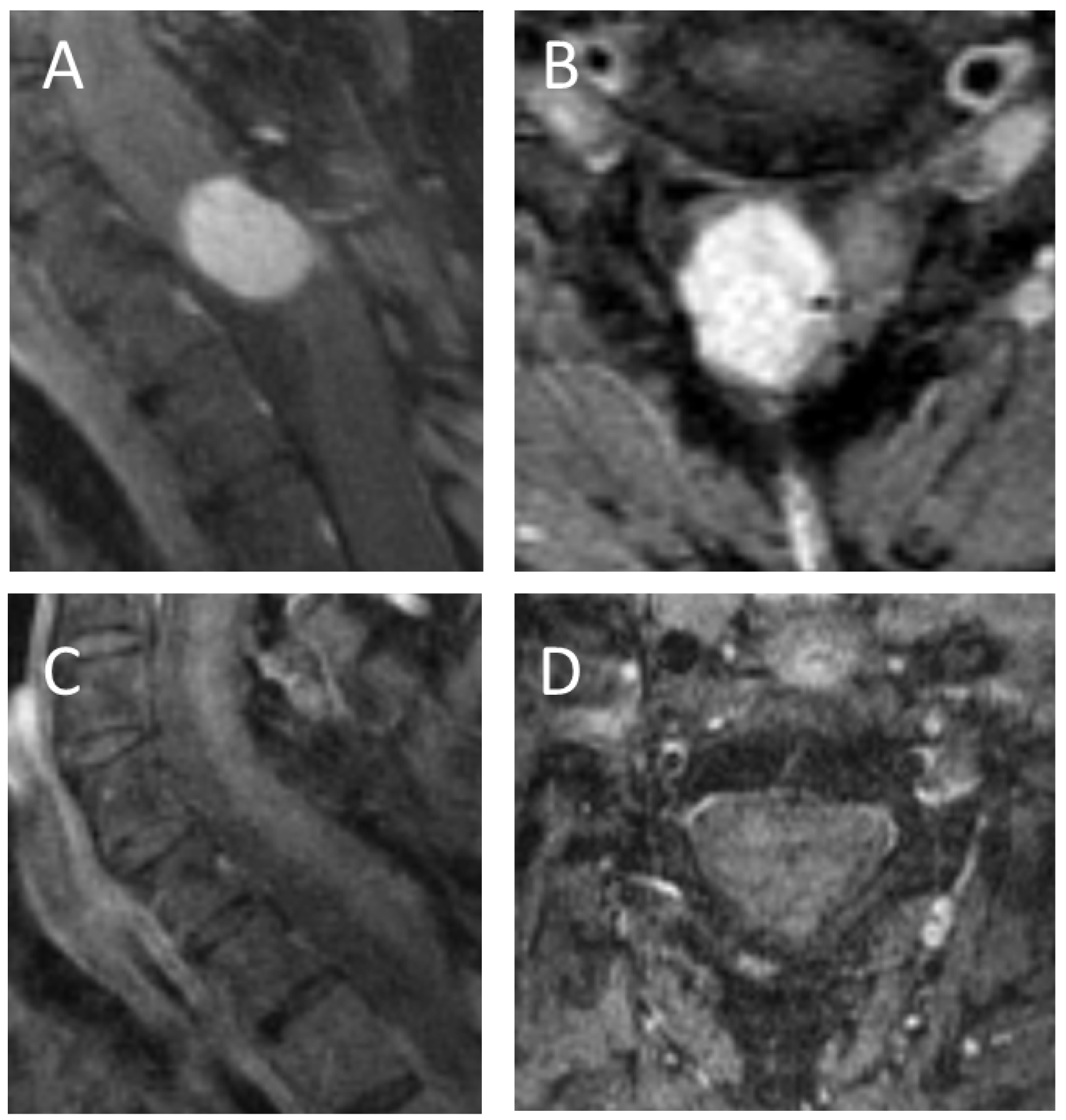 Medicina 59 01611 g002