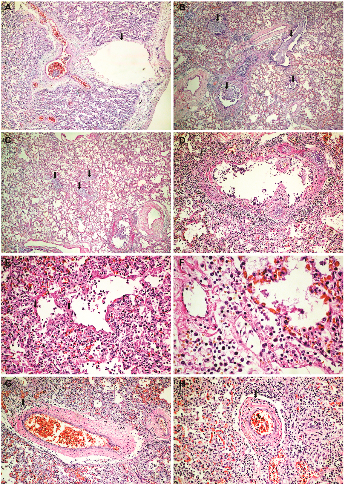Medicina 59 01616 g003a