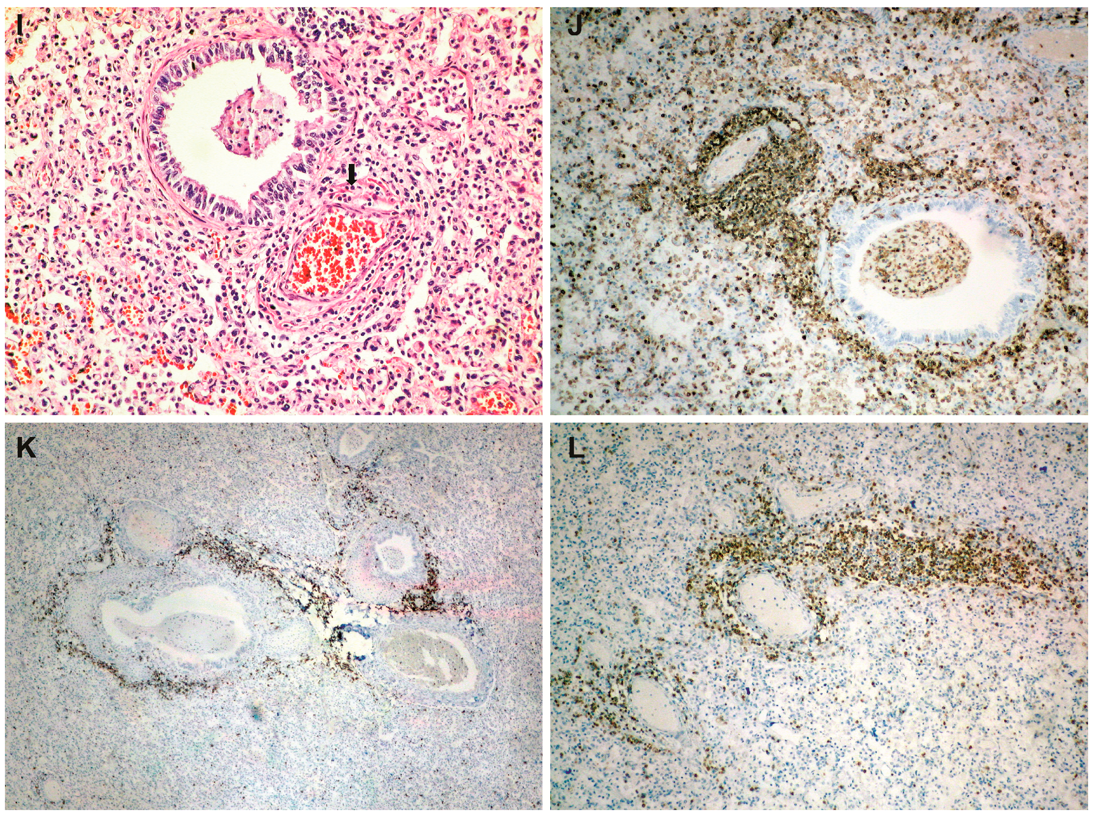 Medicina 59 01616 g003b