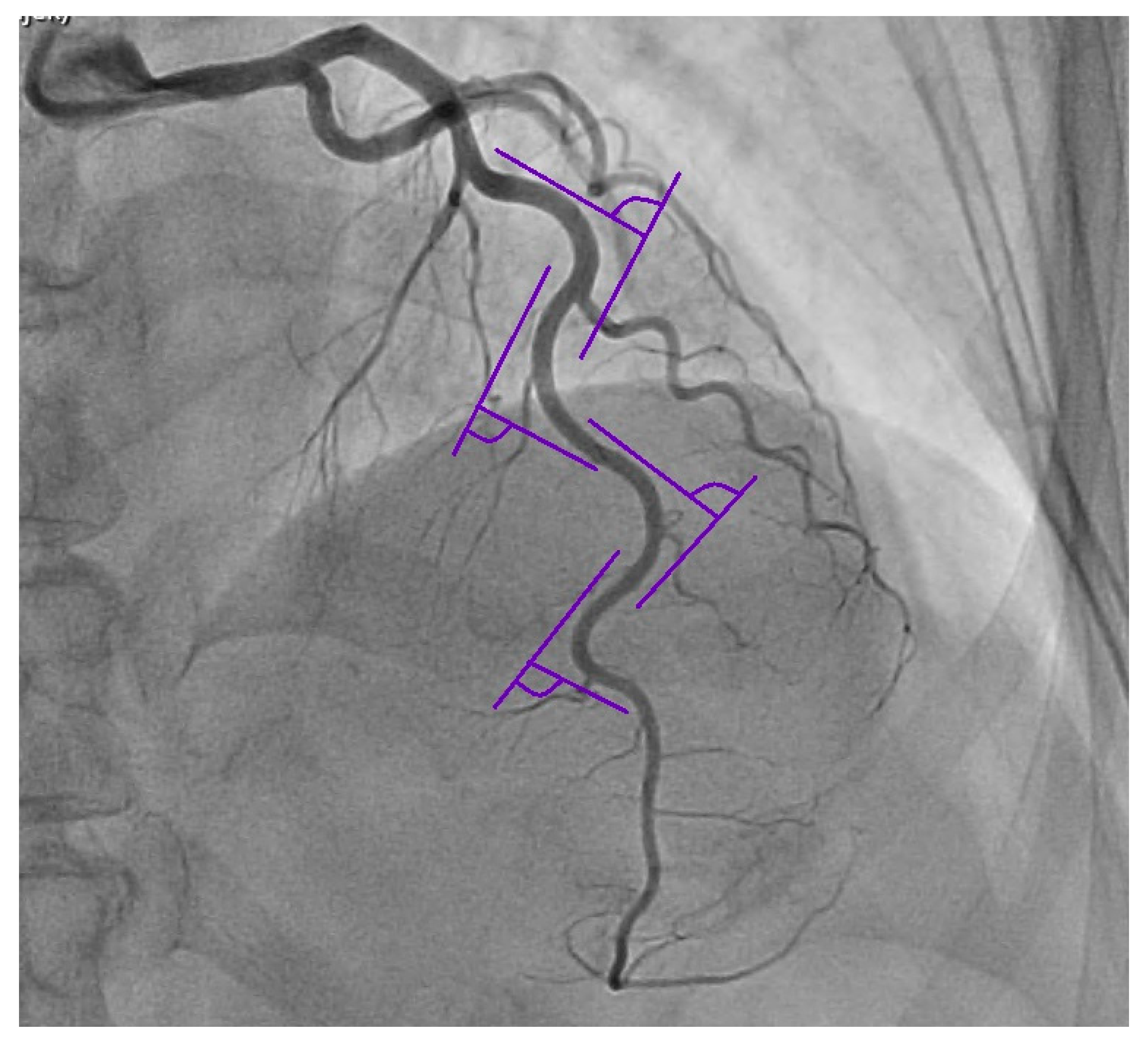 Medicina 59 01619 g001 Medicina 59 01619 g001